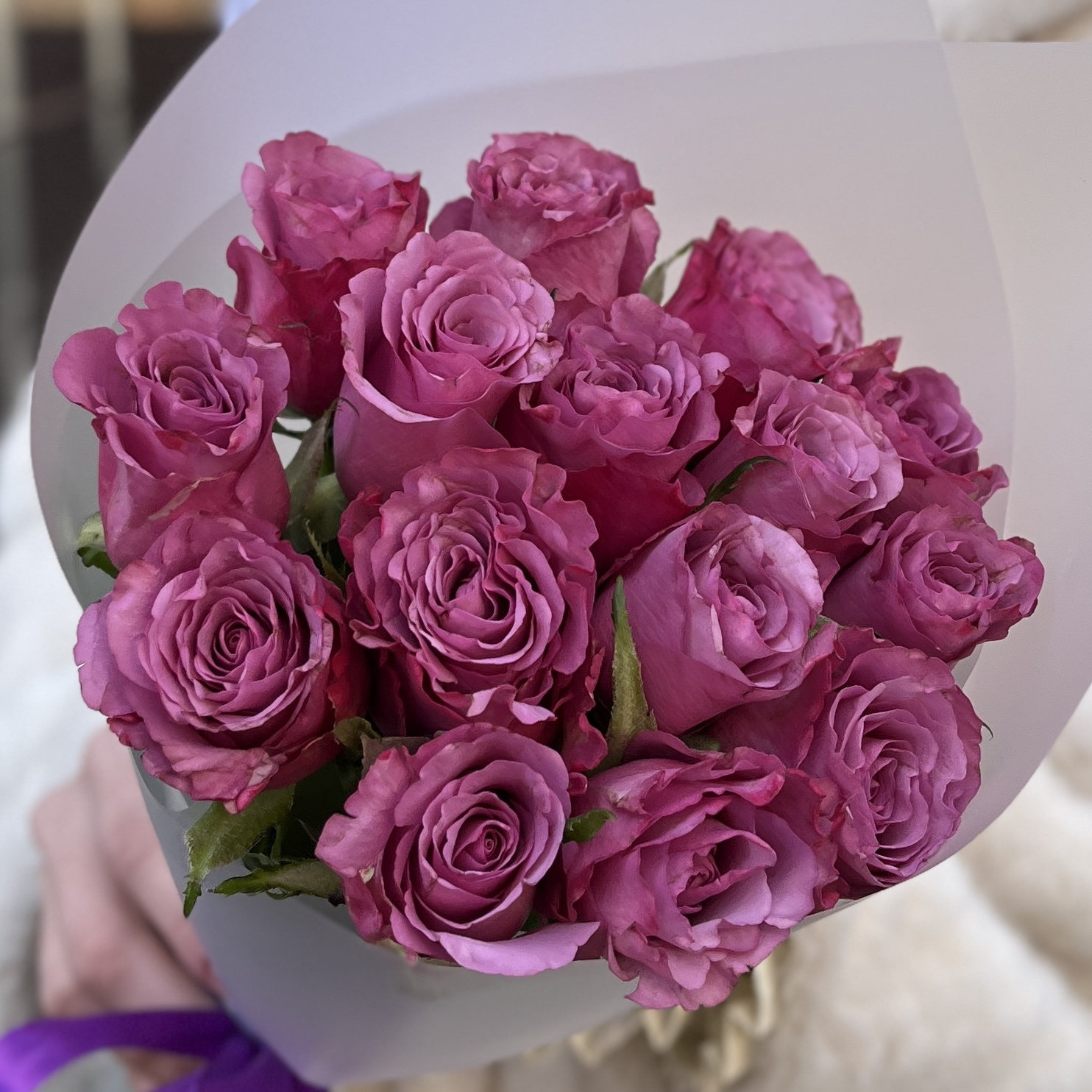 15 фиолетовых роз Дип Перпал 40 см