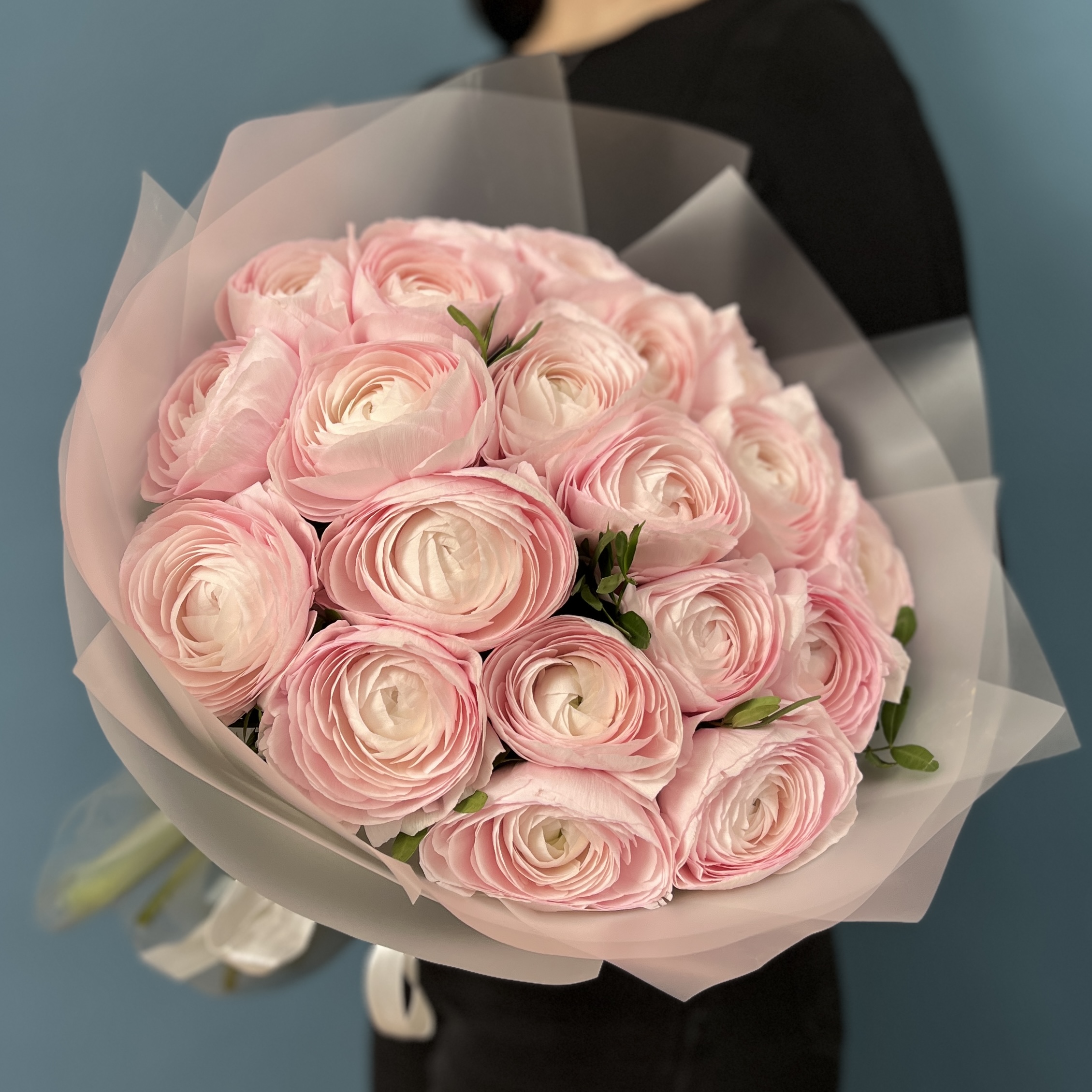 21 розовый ранункулюс