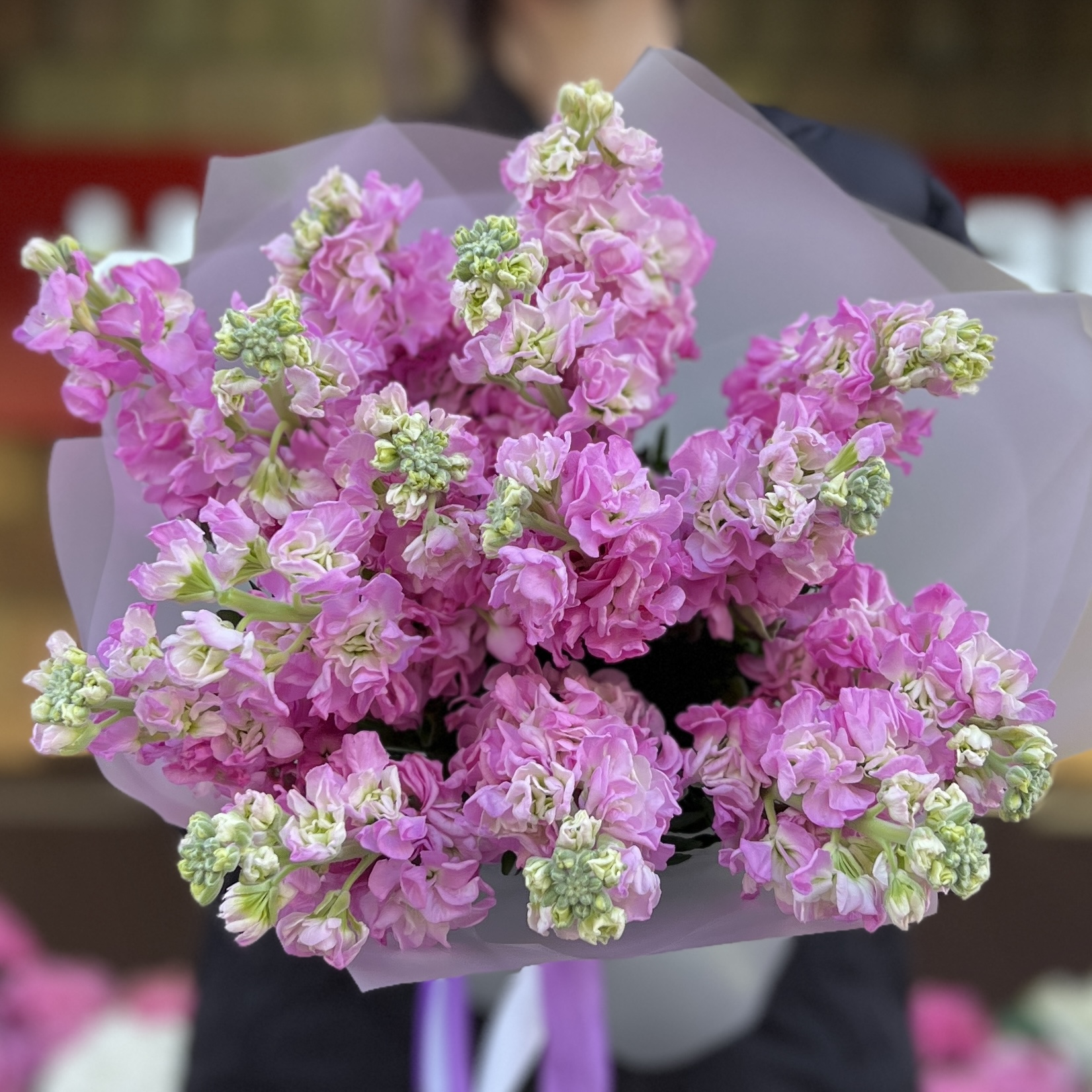 15 розовых ароматных маттиол