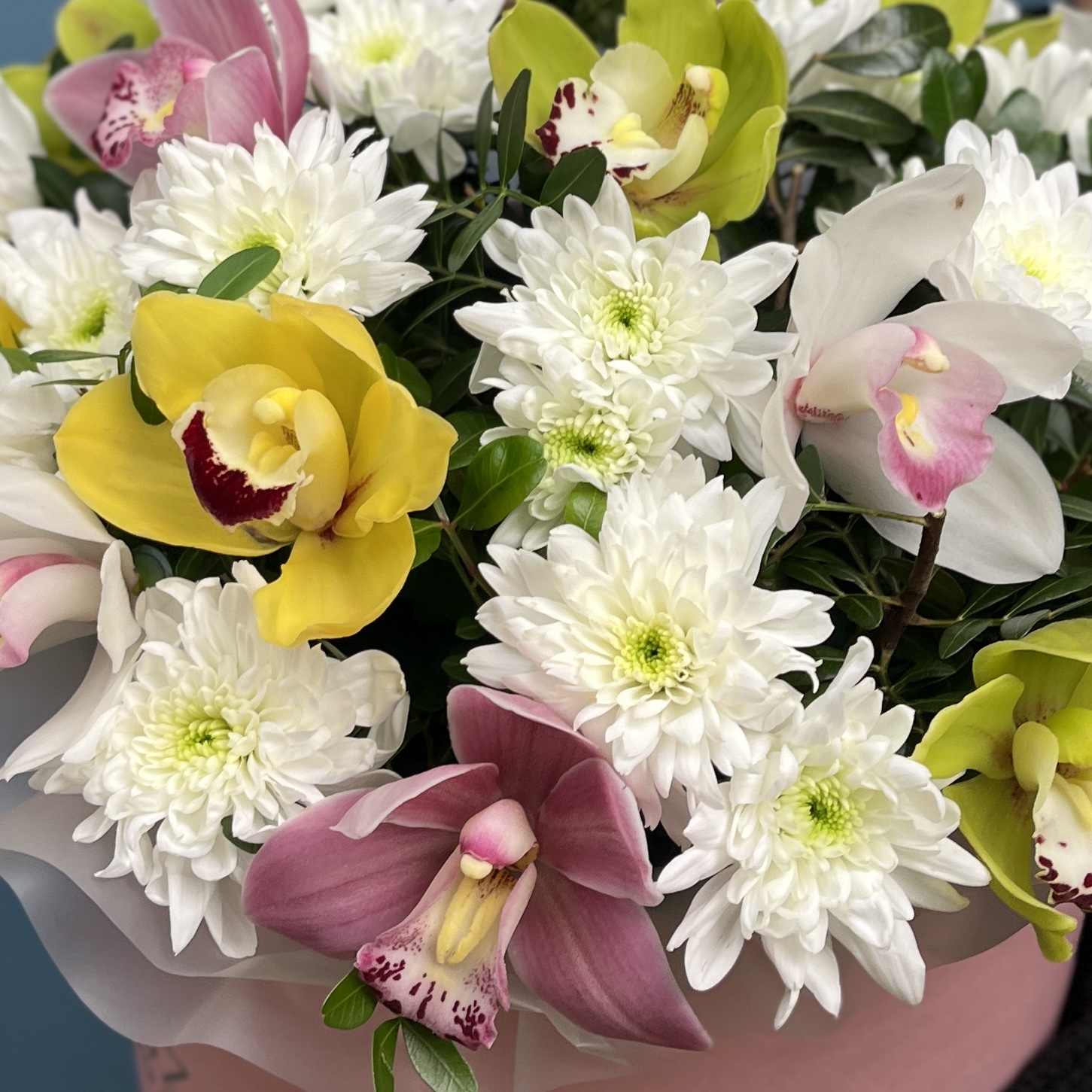 Орхидеи в коробке Праздничный микс