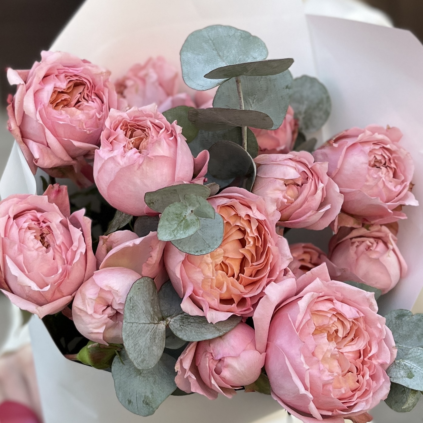 Комплимент пионовидных персиковых роз Джульетта 50 см