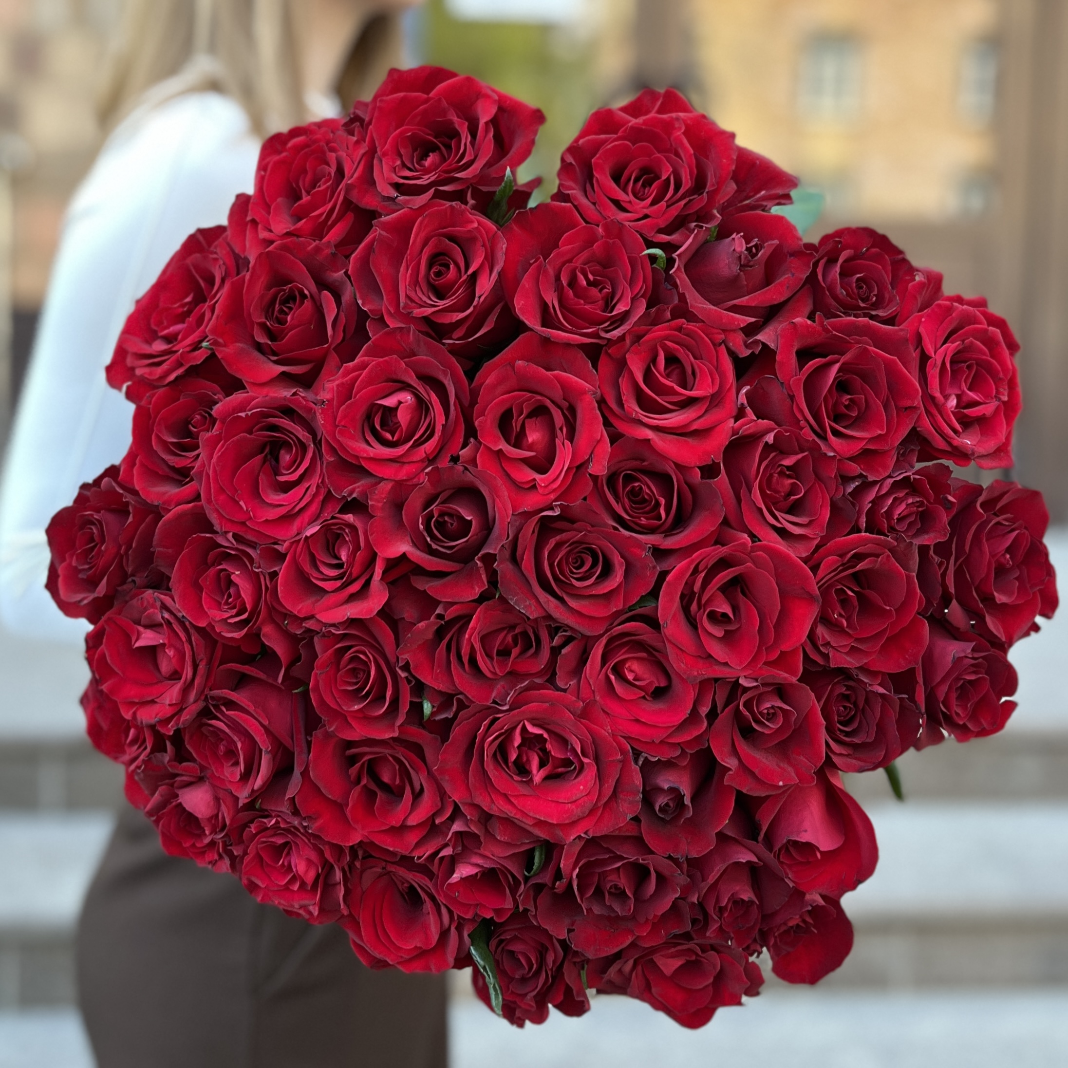 51 красная роза Эвер ред 70 см