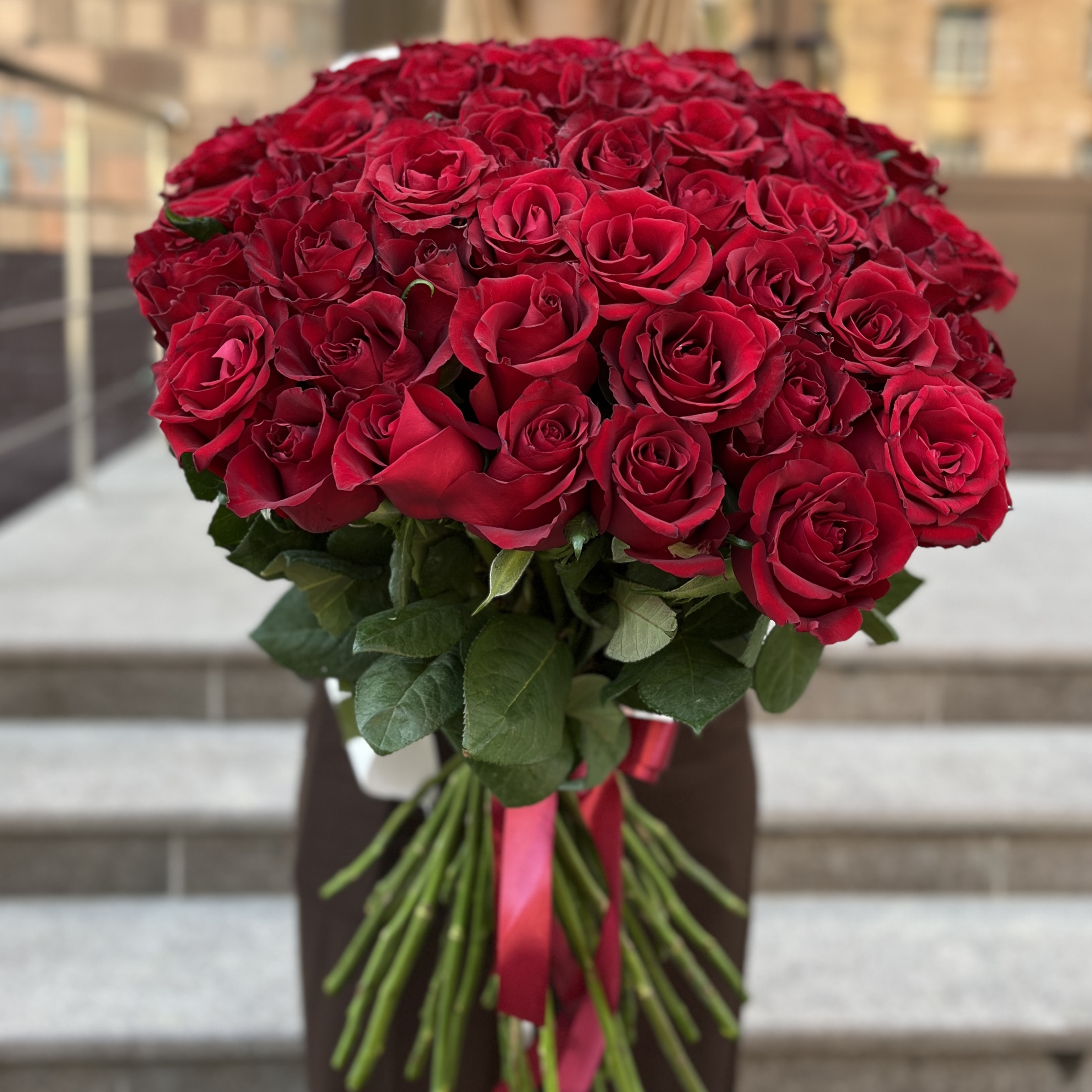 51 красная роза Эвер ред 70 см