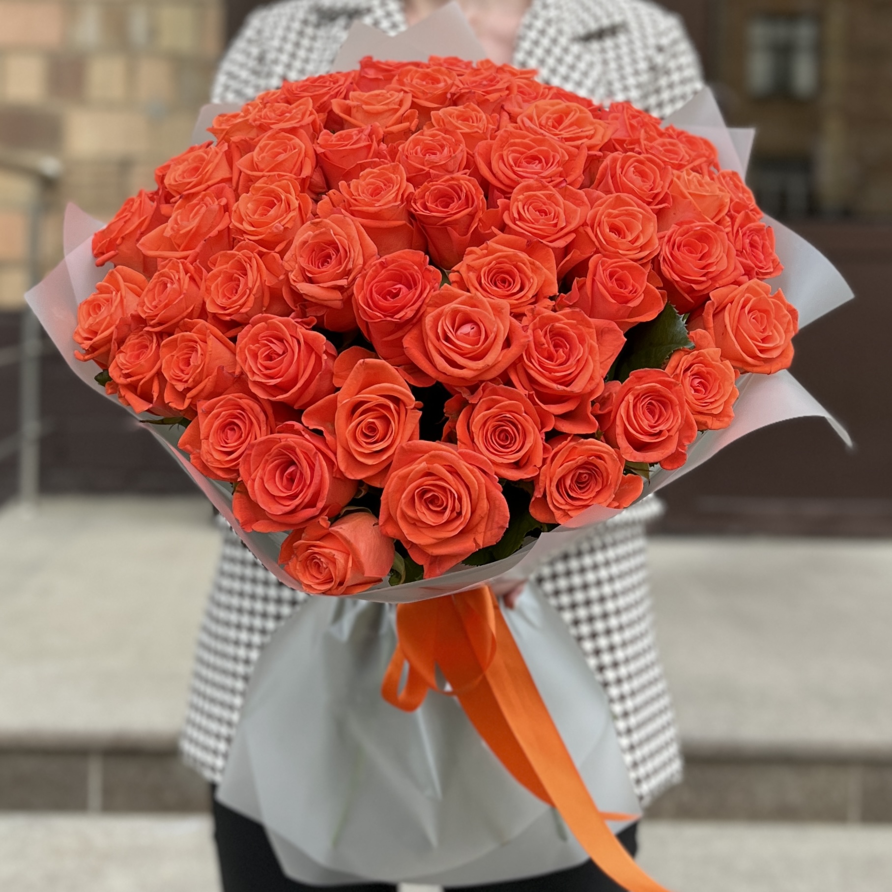 51 оранжевая роза Вау 50 см