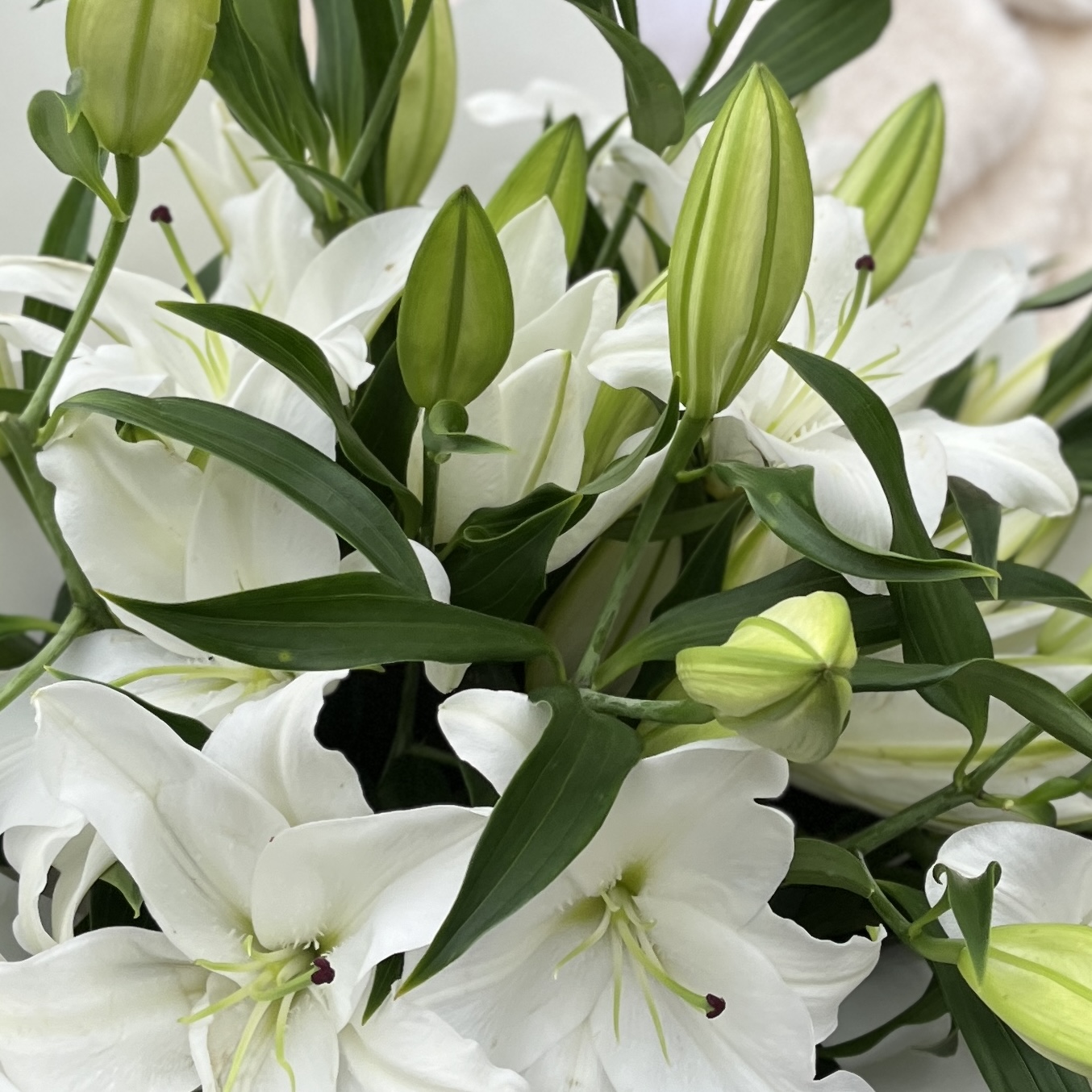 9 белых Восточных лилий