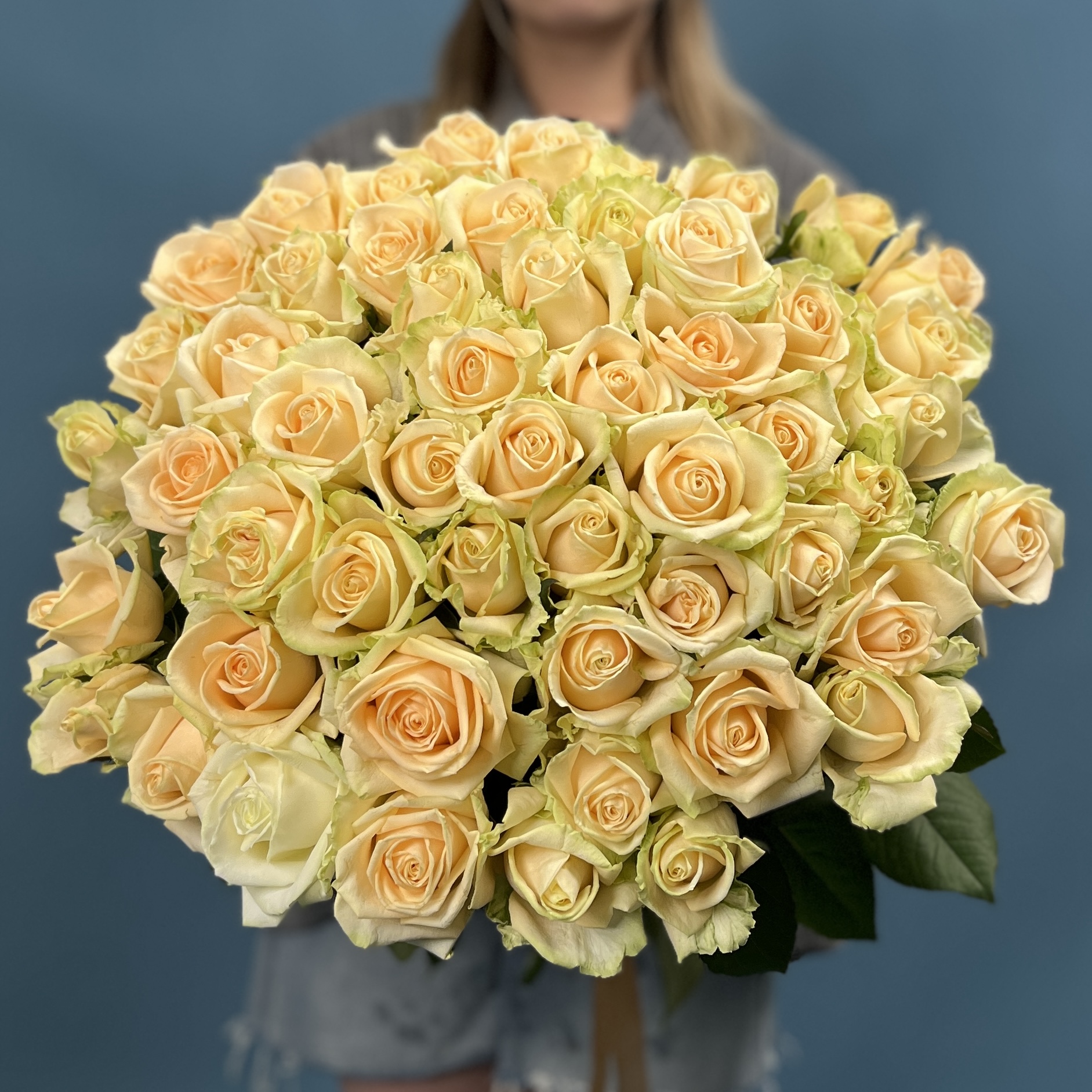51 Роза пич Аваланш 70 см