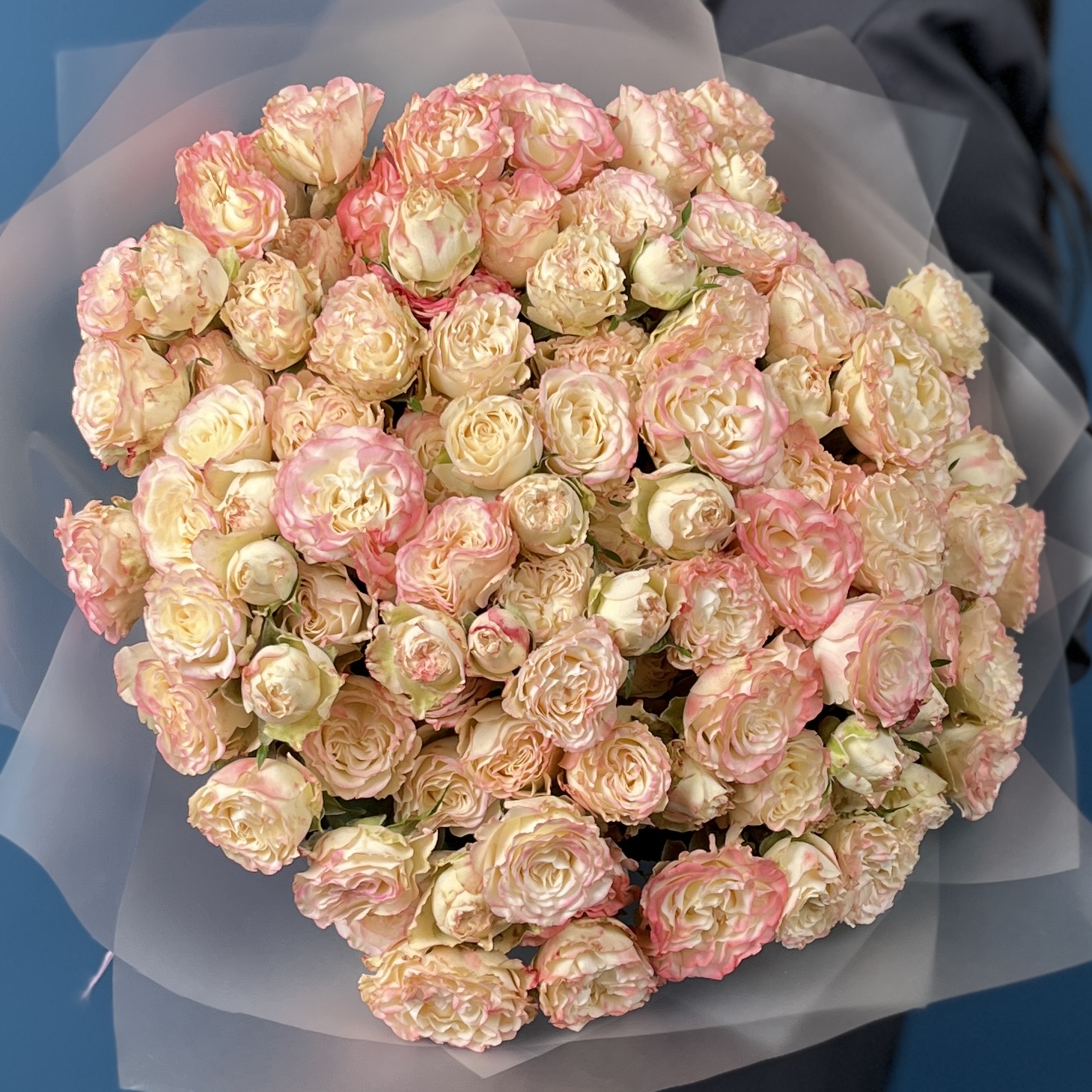 25 пионовидных роз Чарминг Флоу 40 см