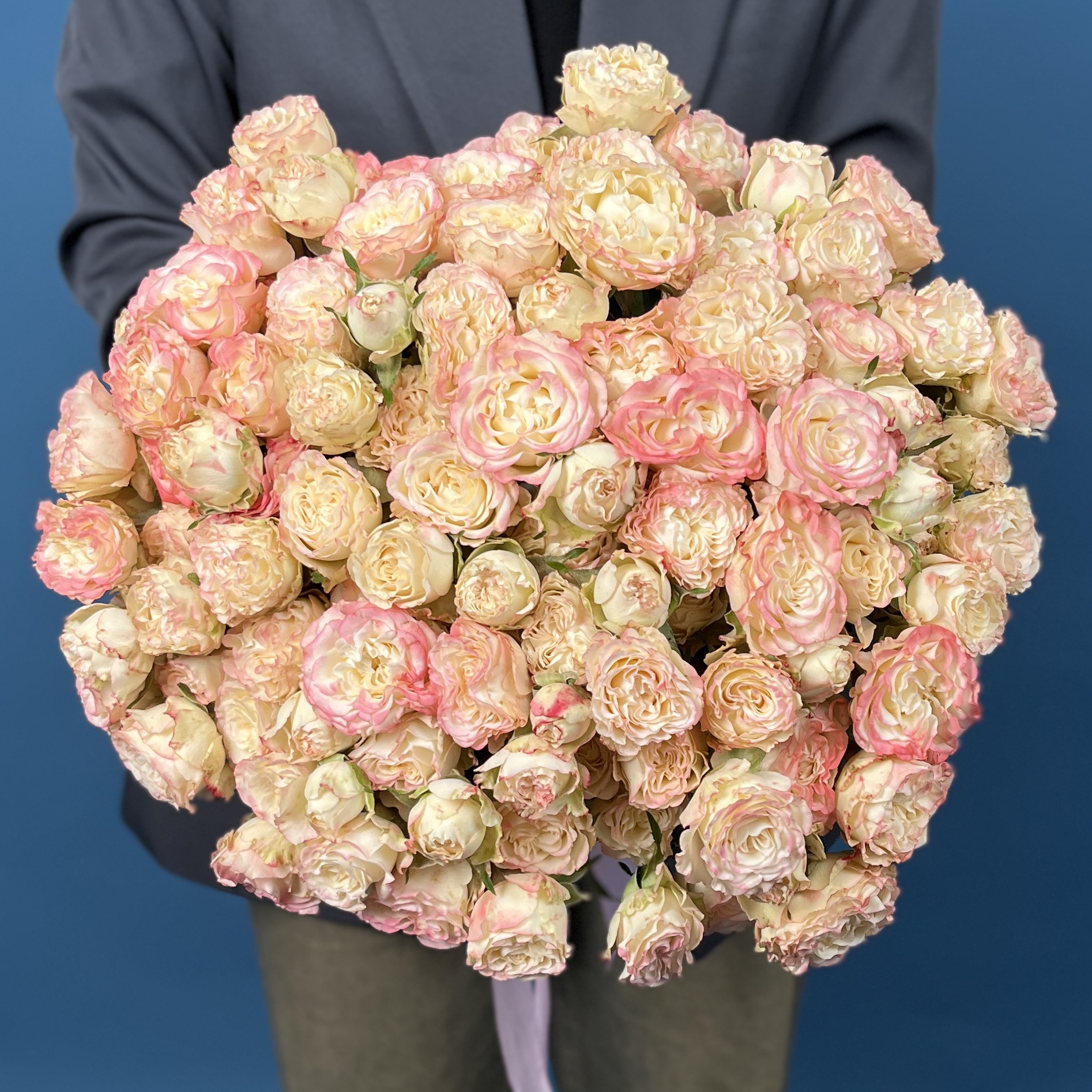 Кустовая пионовидная роза Чарминг Флоу 40 см