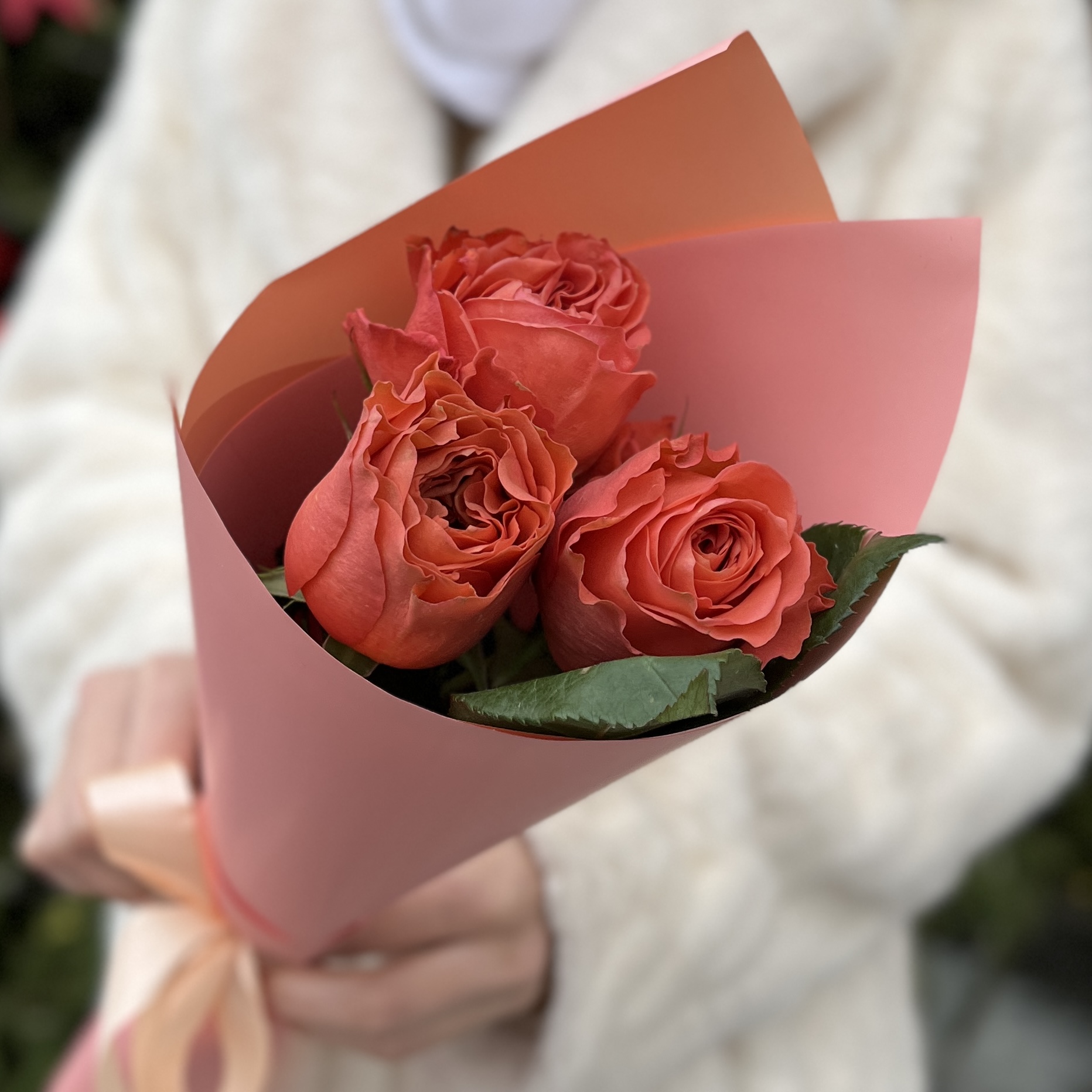 3 розы  Корал Экспрешен 50 см