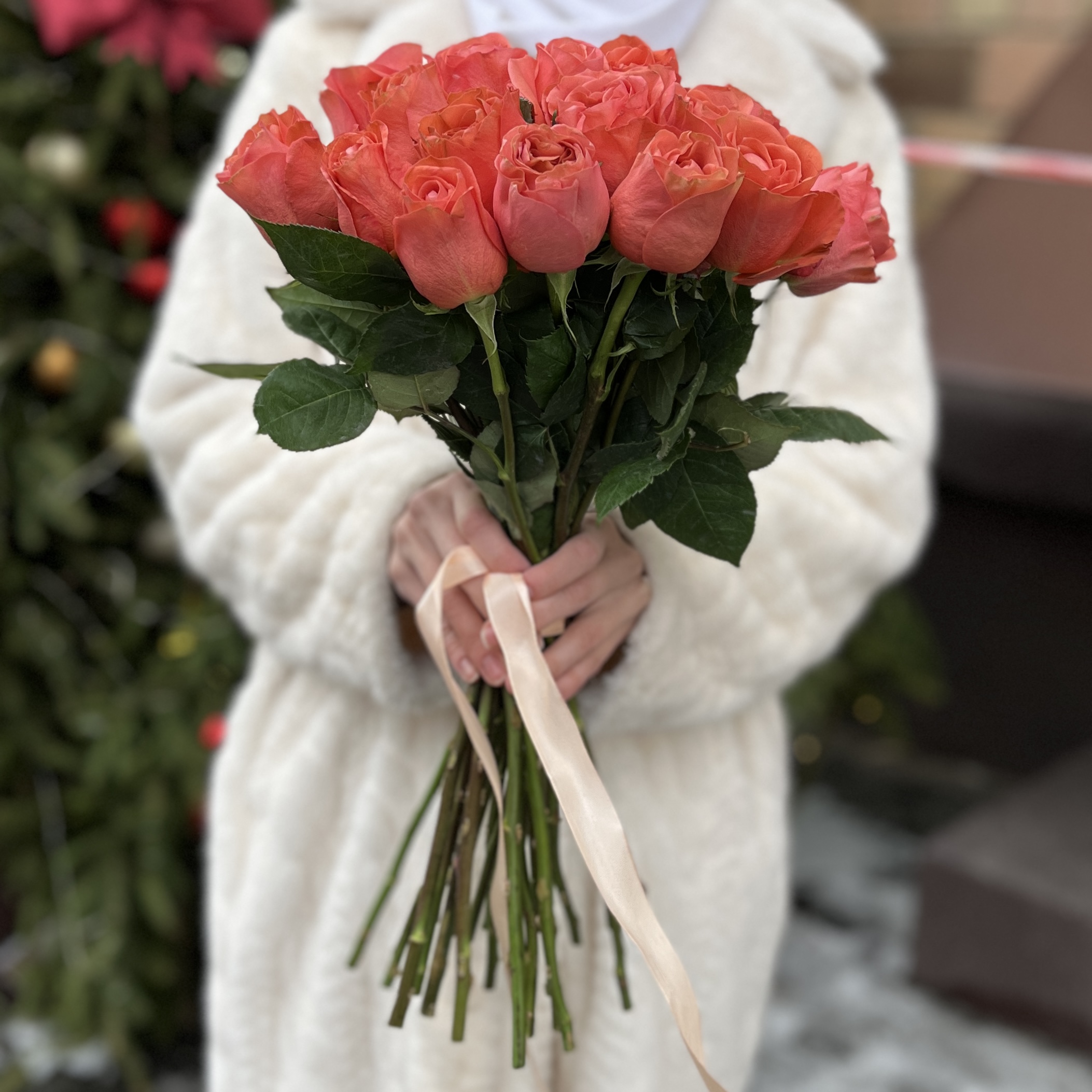Роза Корал Экспрешен 50 см