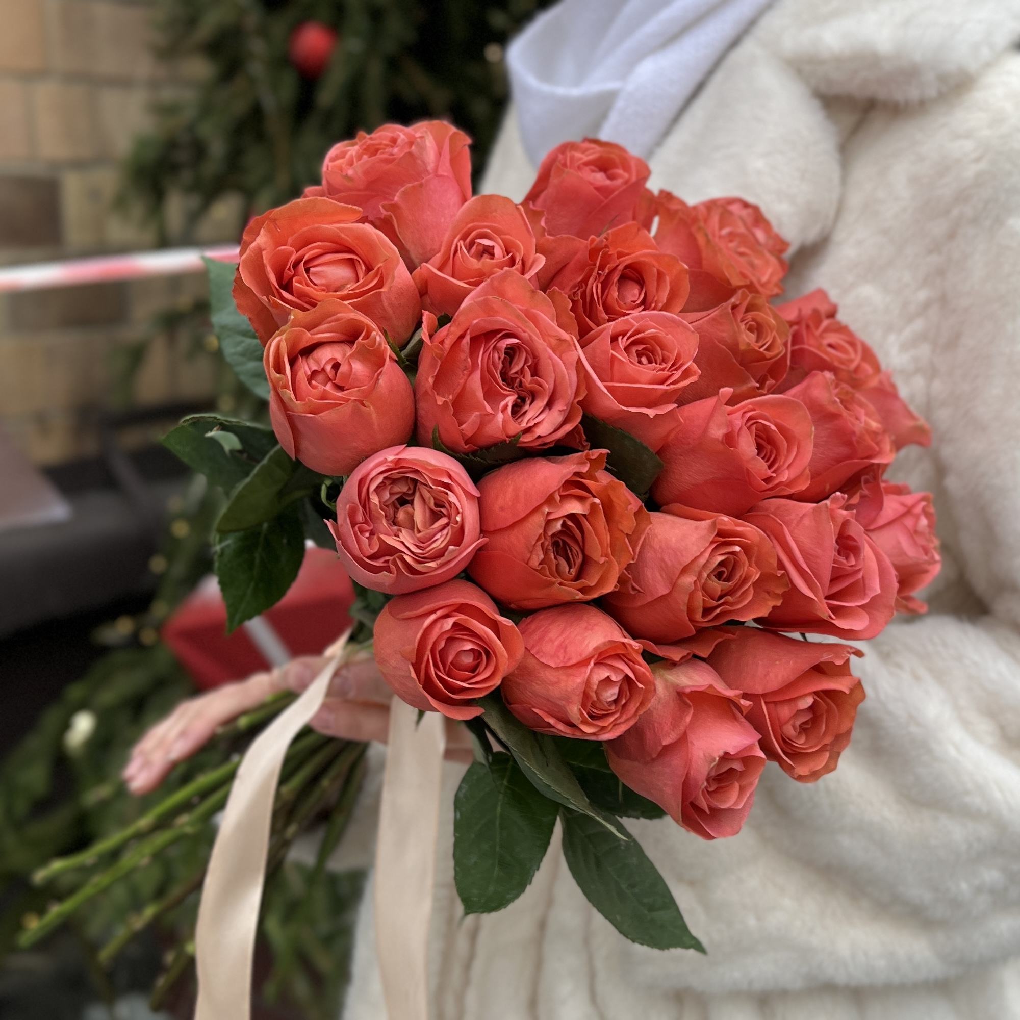 Роза Корал Экспрешен 50 см