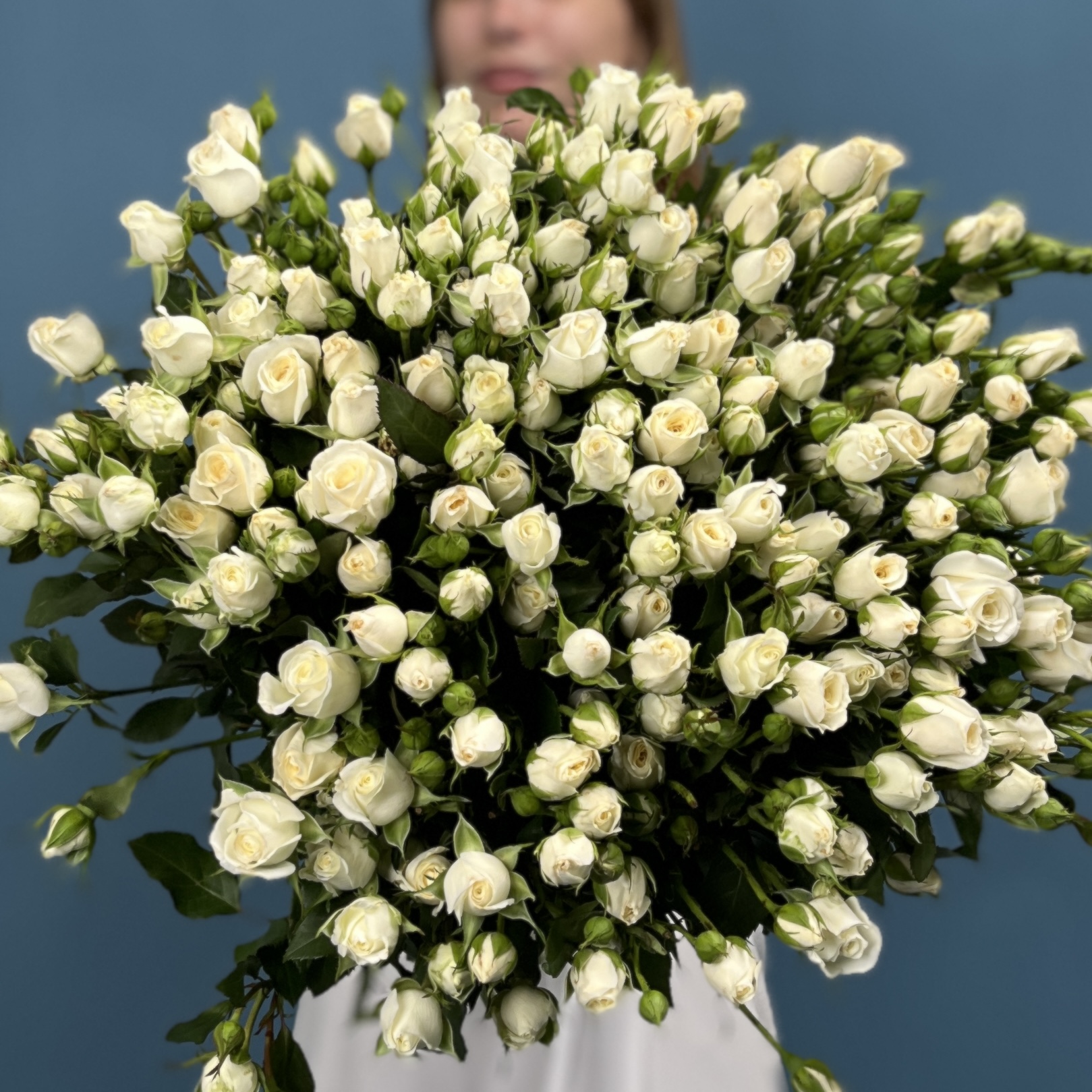 35 кустовых роз Сноу Бабл 70 см