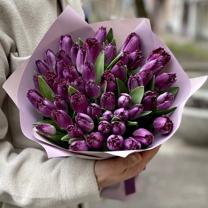 51 махровый фиолетовый тюльпан