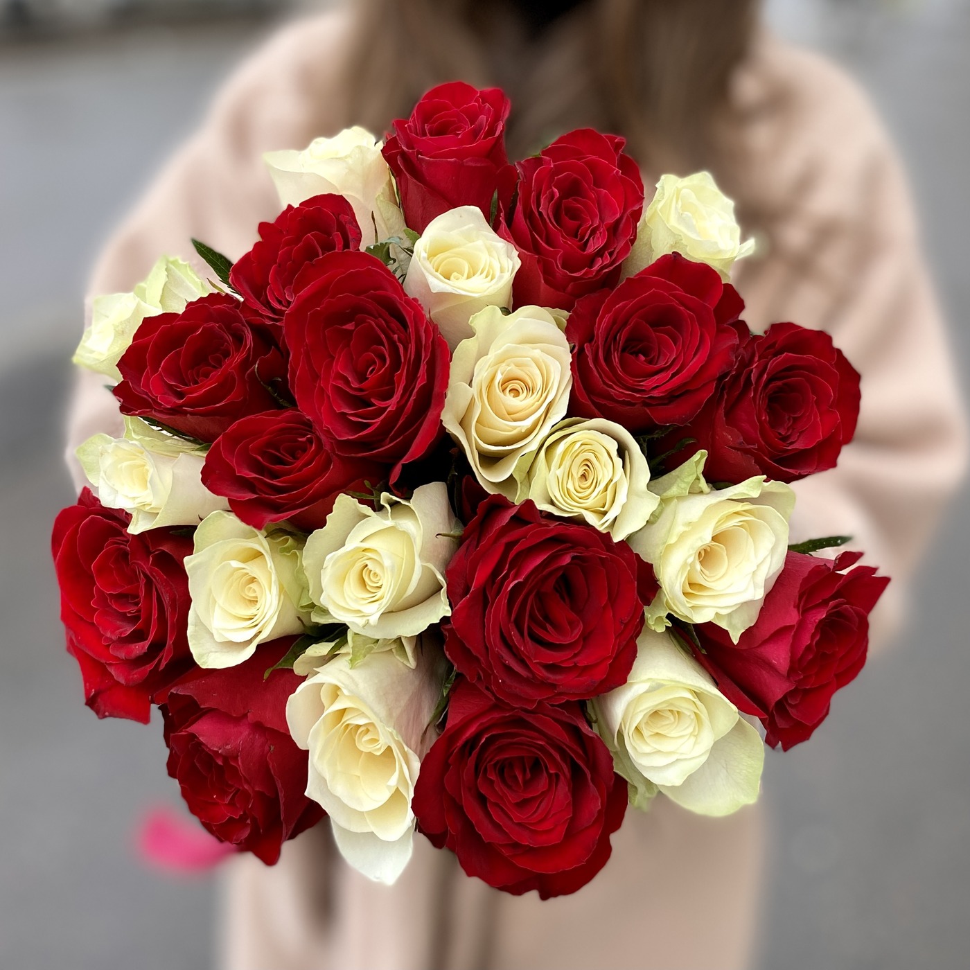 25 красных и белых роз