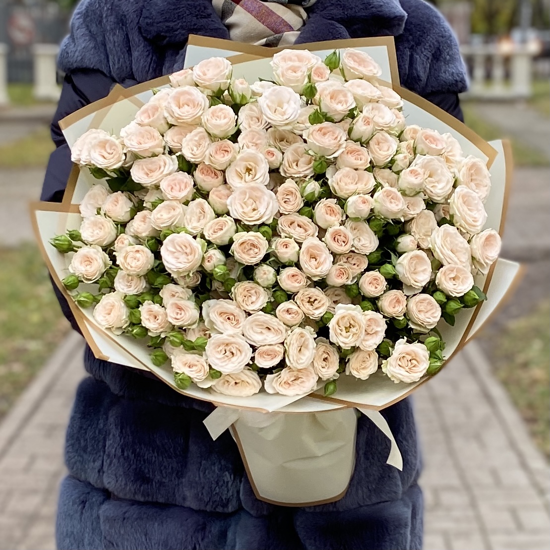 25 кремовых кустовых роз Рослин