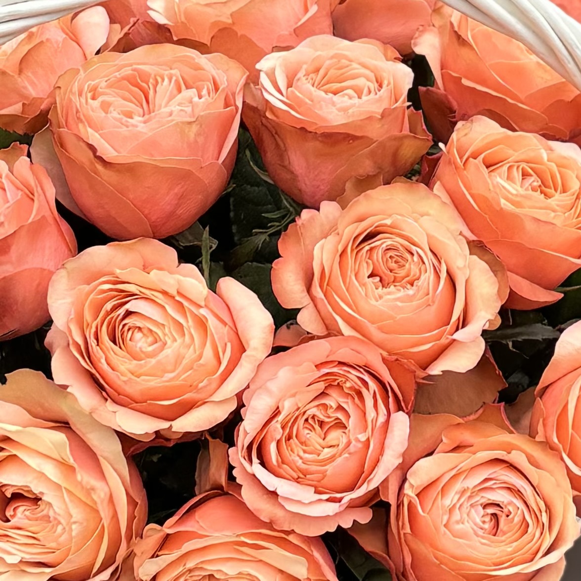 25 персиковых роз Кахала в корзине