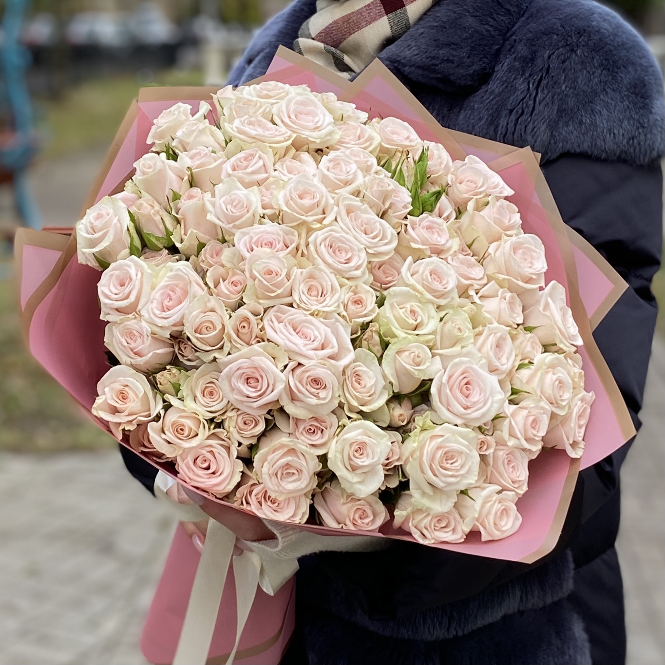 25 светло-розовых кустовых роз Роял Порцелина 40см
