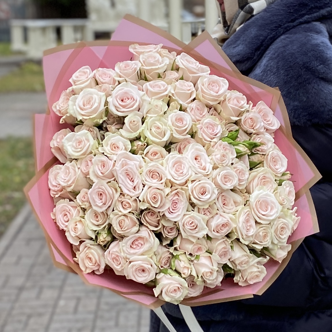 25 светло-розовых кустовых роз Роял Порцелина 40см