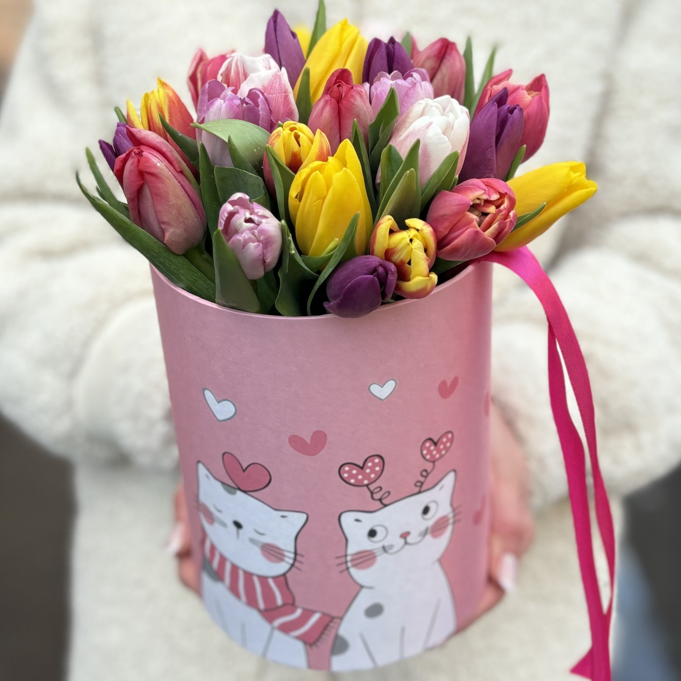 25 тюльпанов в коробке Котики