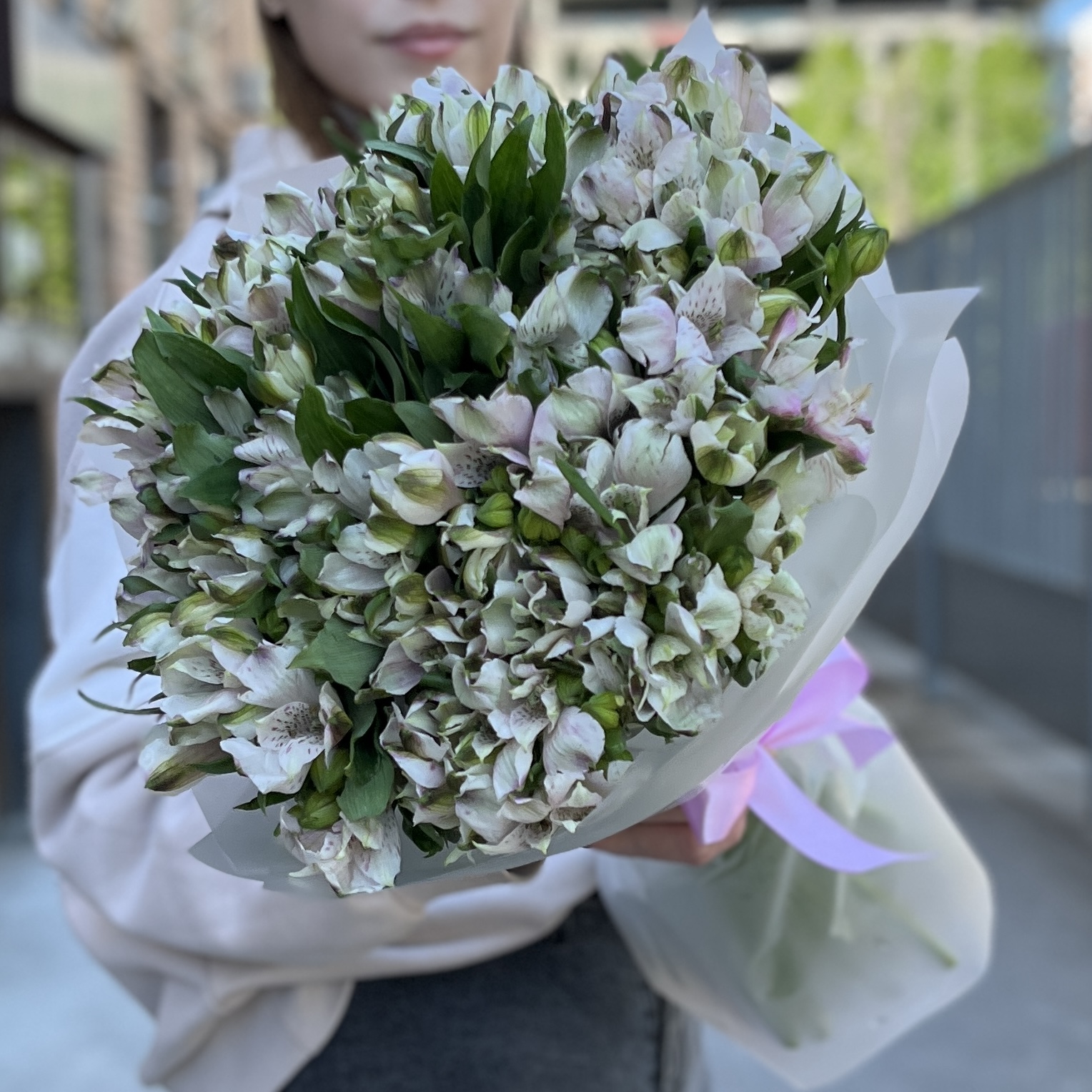 35 бело-фиолетовых альстромерий