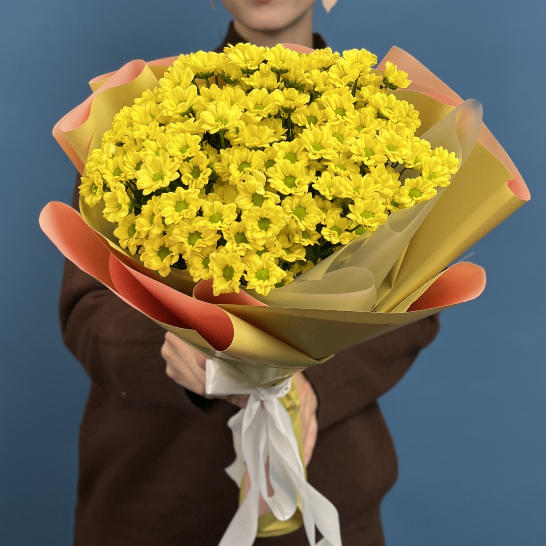 5 желтых хризантем Сантини