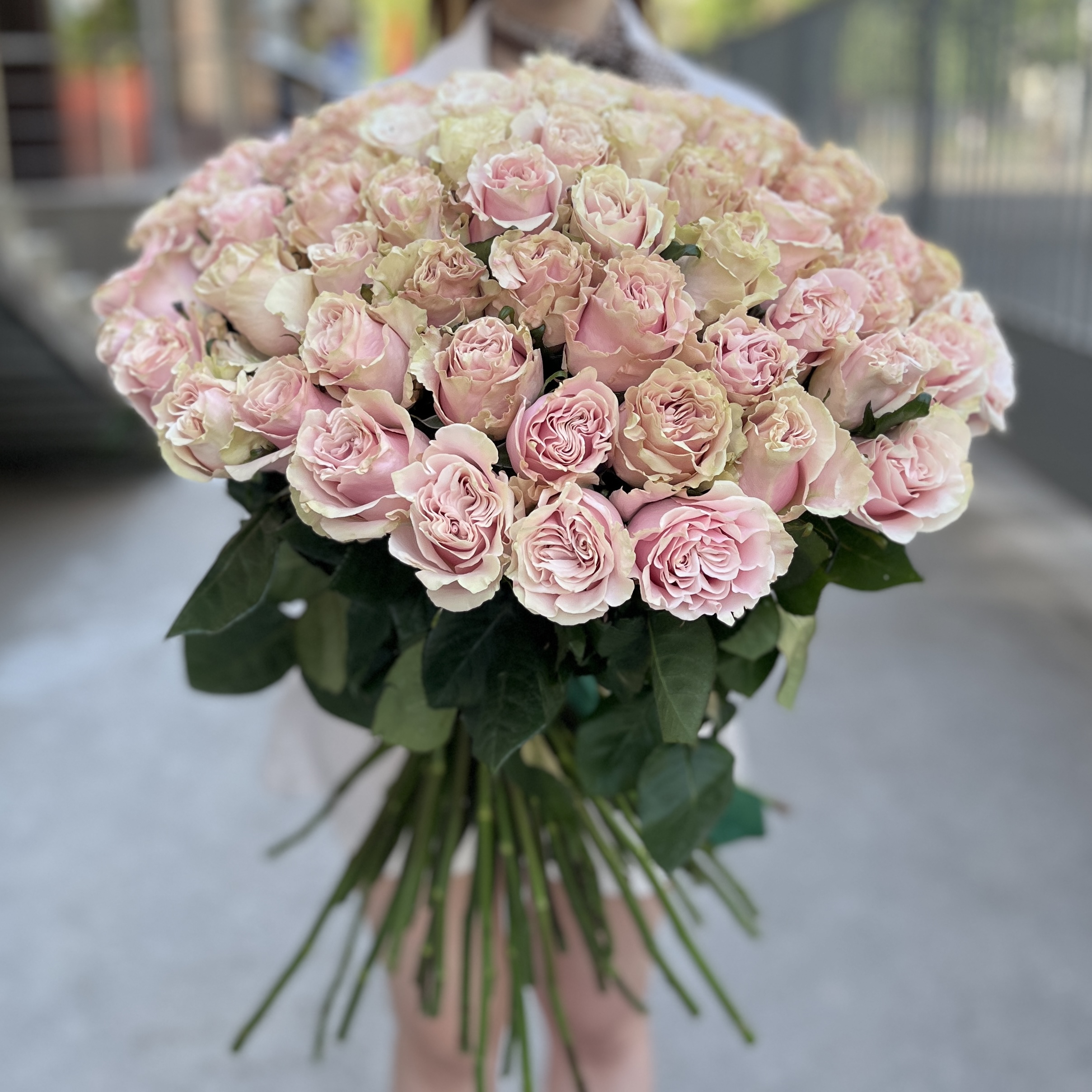 101 роза Пинк Мондиаль 80 см