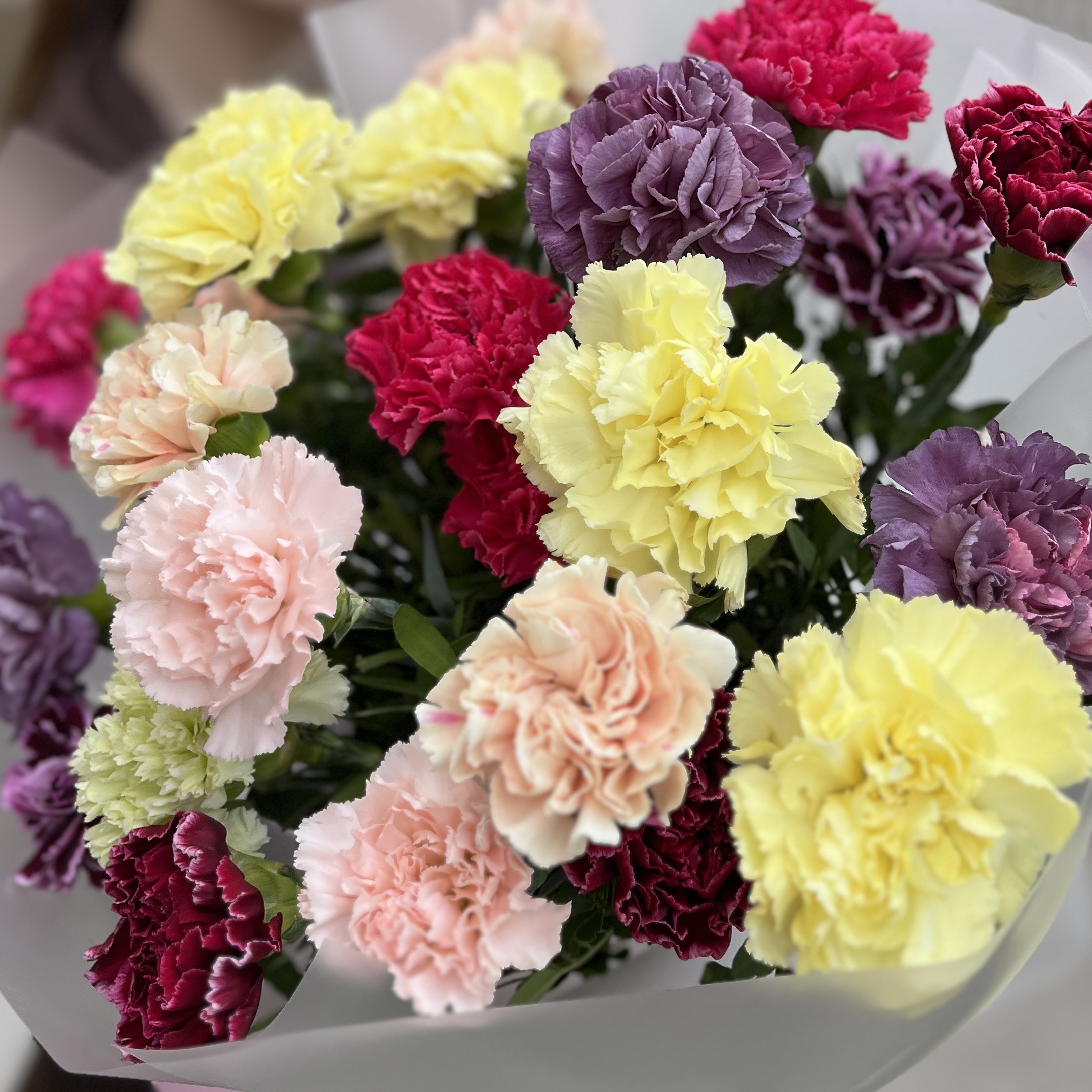 25 ярких праздничных гвоздик MIX