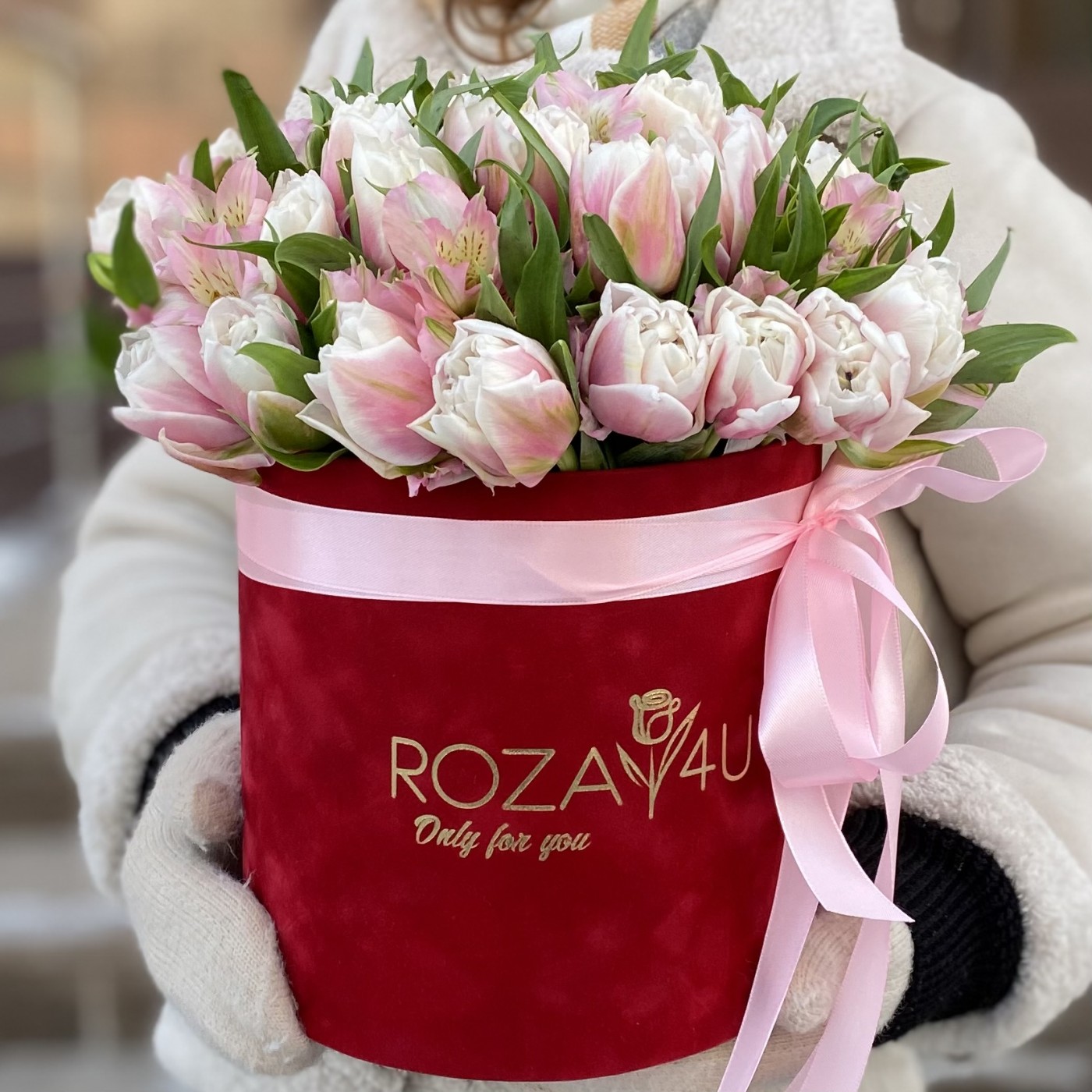 31 бело-розовый пионовидный тюльпан с альстромерией в коробке