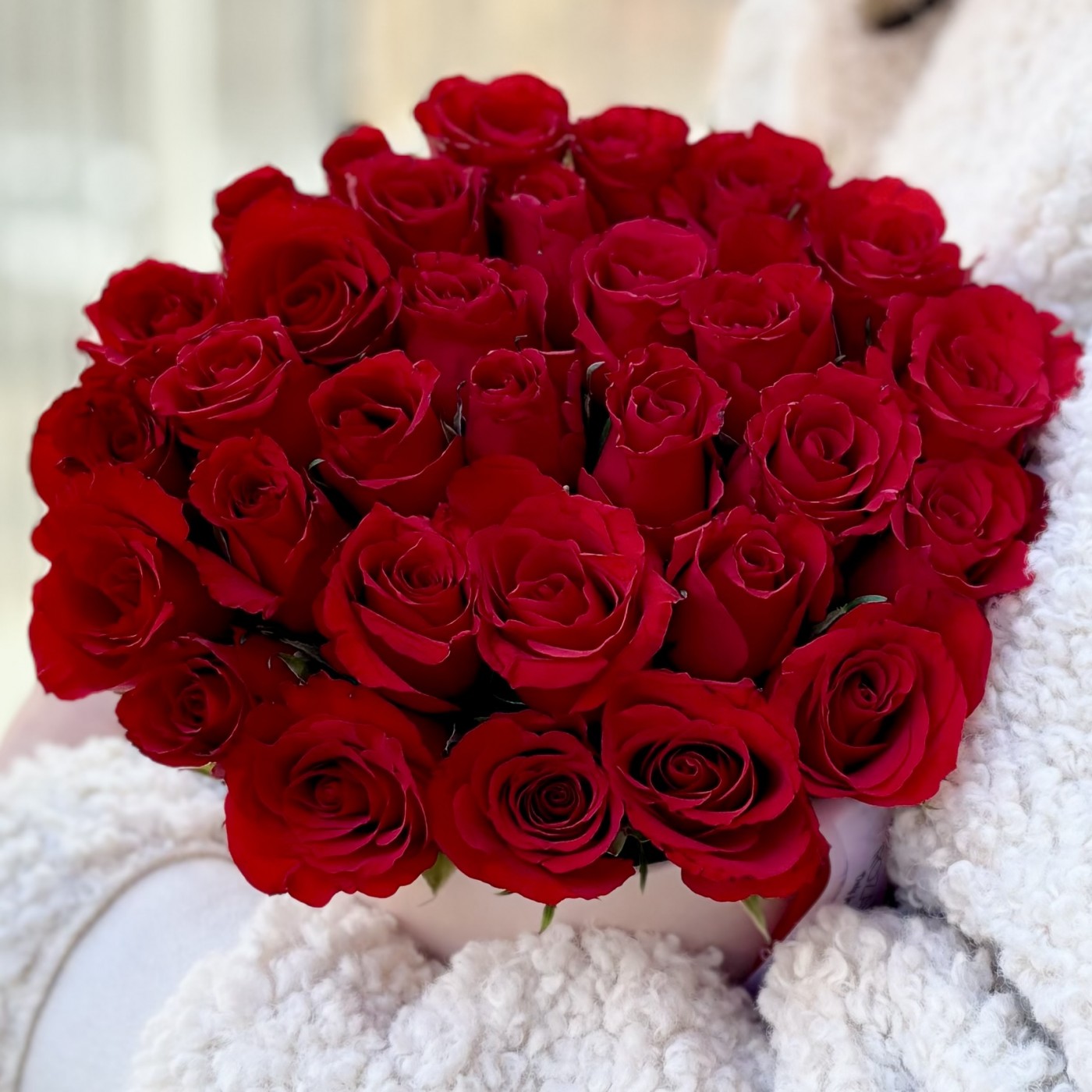 31 красная роза Калипсо в коробке