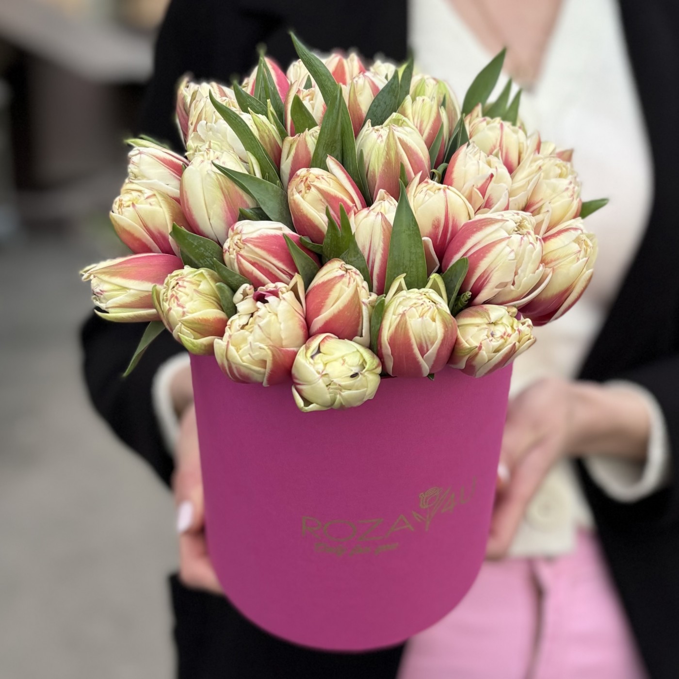 35 пионовидных красно-белых тюльпанов в коробке