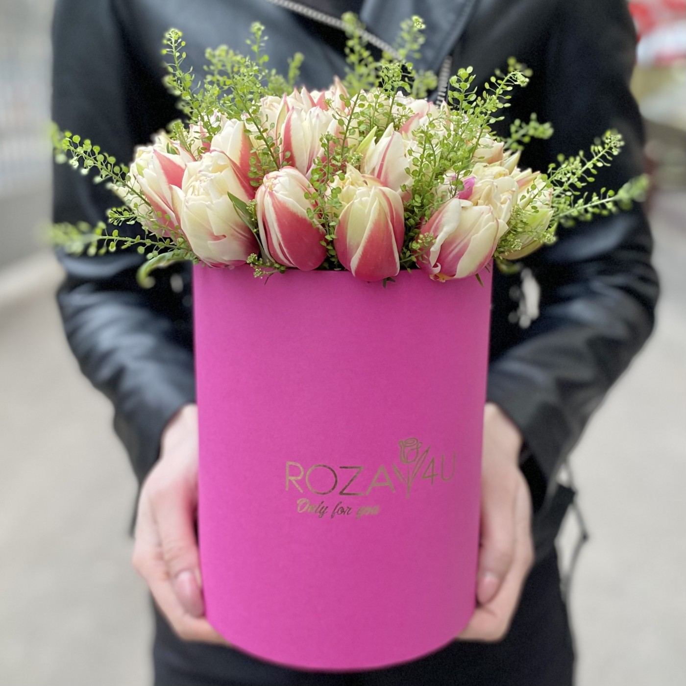 35 красно-белых тюльпанов Вермонт с гринбеллом в коробке