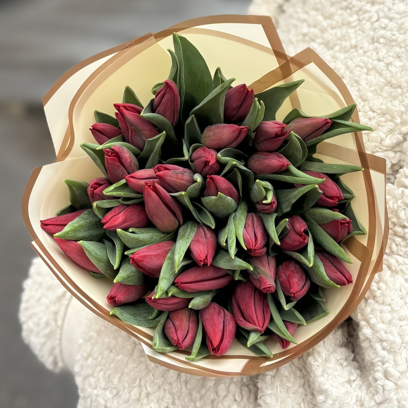 35 тюльпанов красного цвета в упаковке