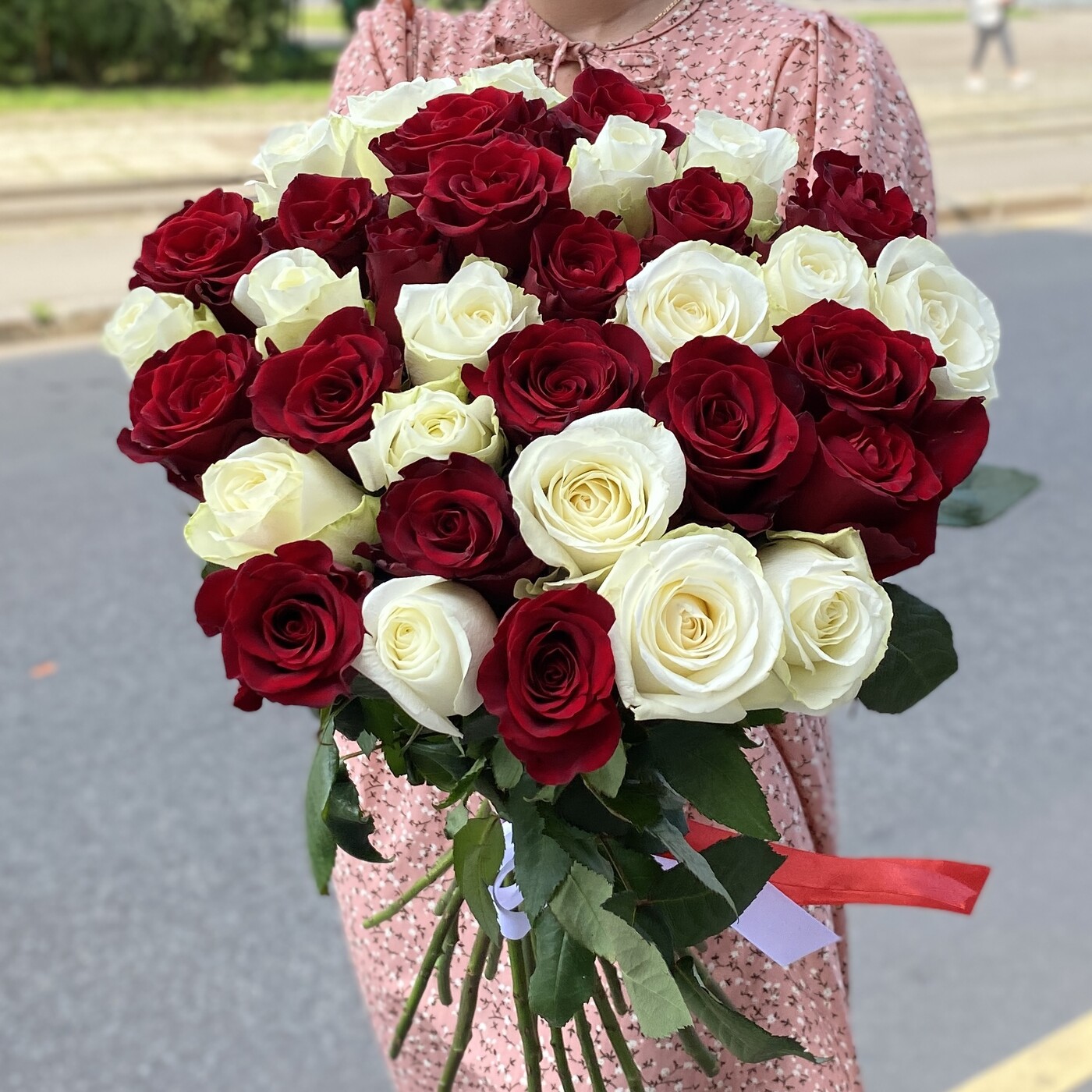 35 красных и белых длинных роз