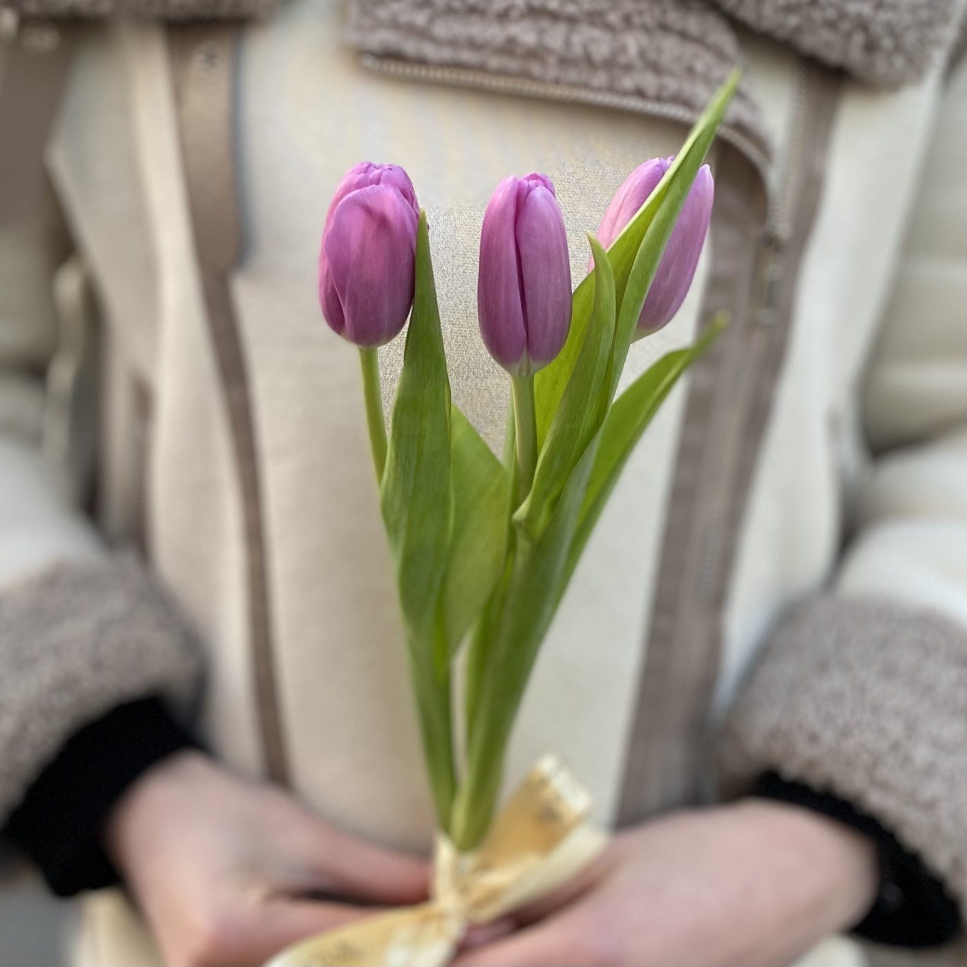 3 лиловых тюльпана с лентой