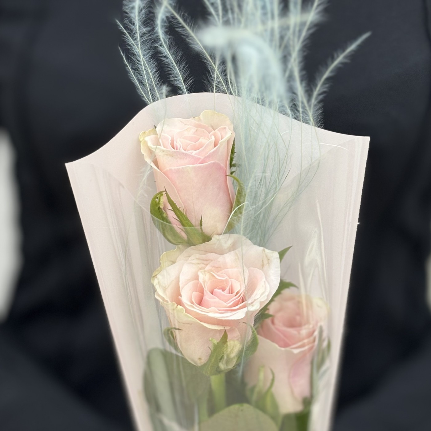 3 нежно-розовые розы в упаковке