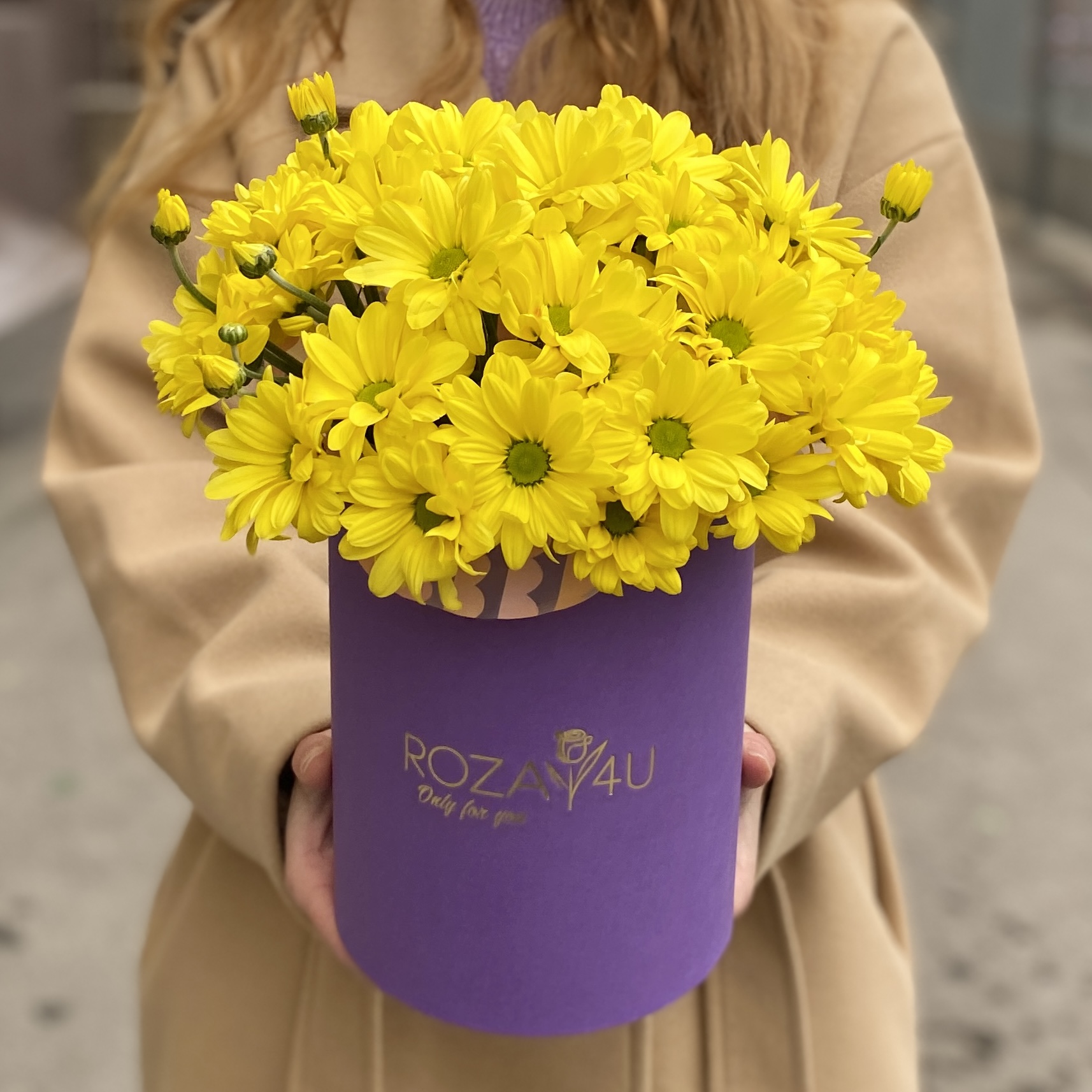 5 желтых хризантем в коробке