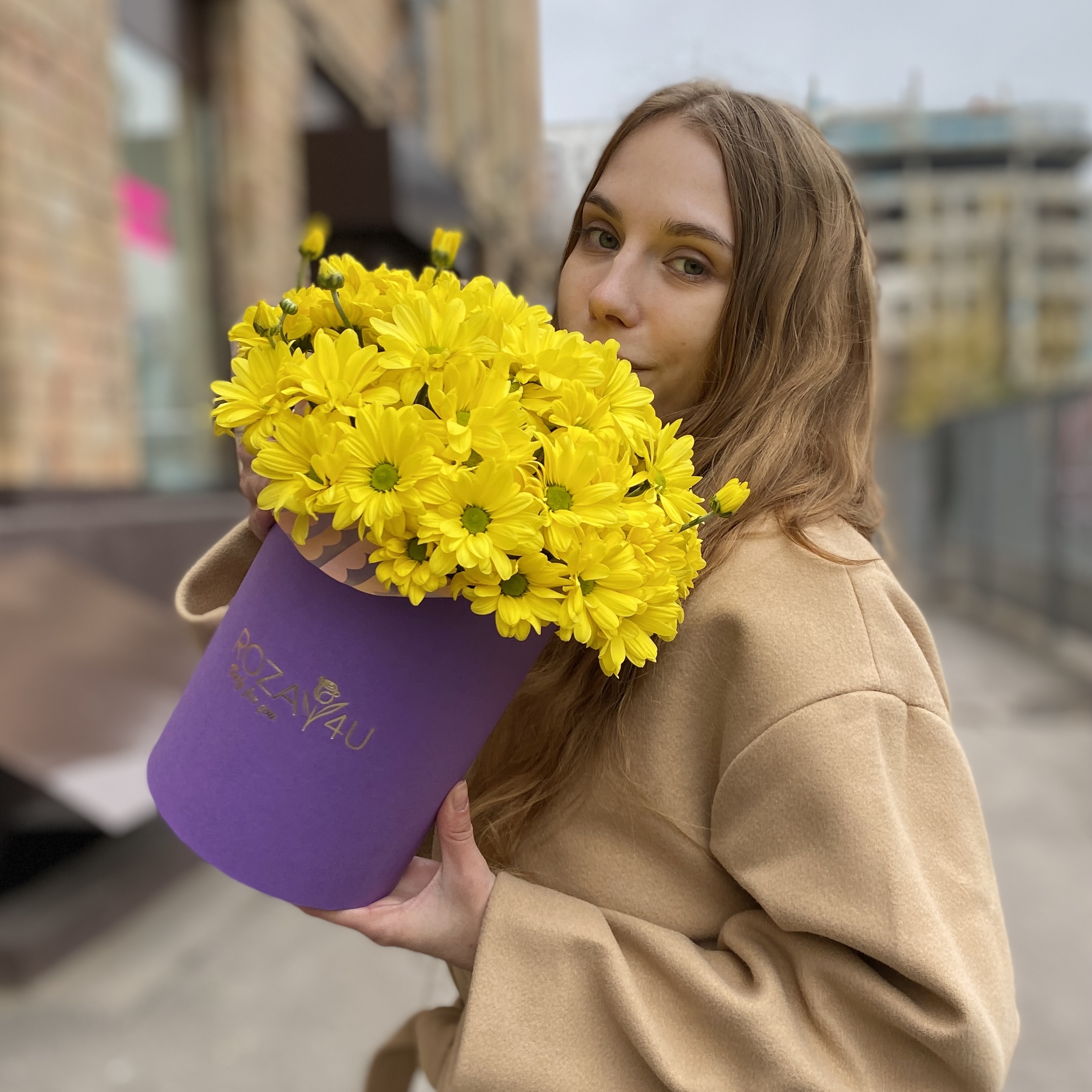 5 желтых хризантем в коробке