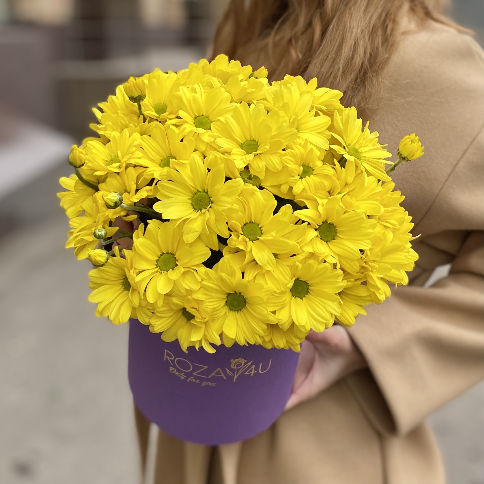 5 желтых хризантем в коробке