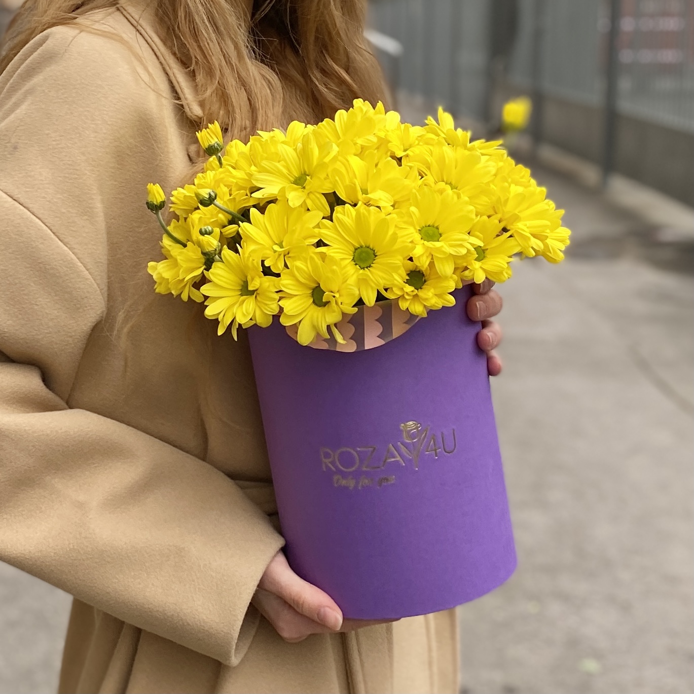 5 желтых хризантем в коробке