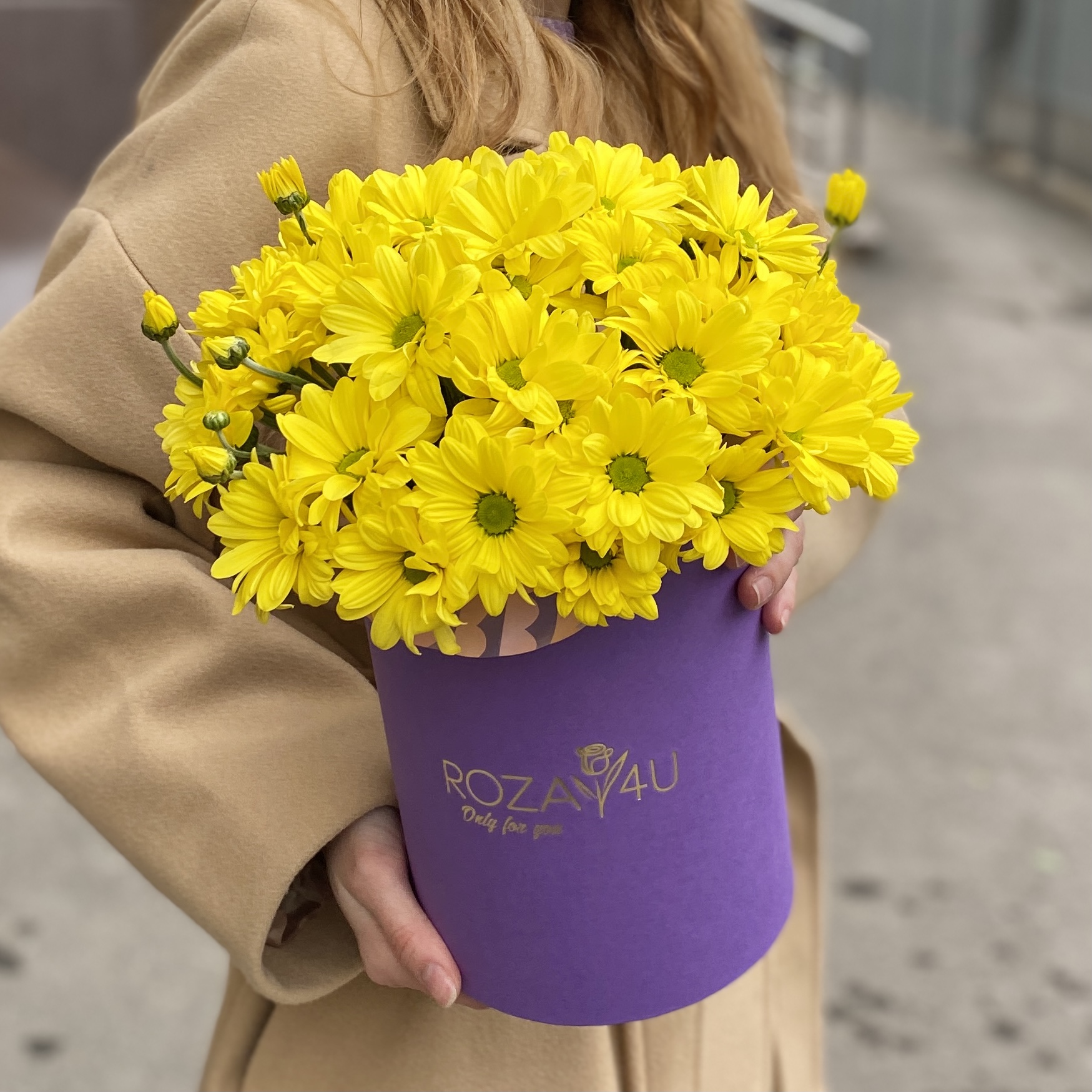 5 желтых хризантем в коробке