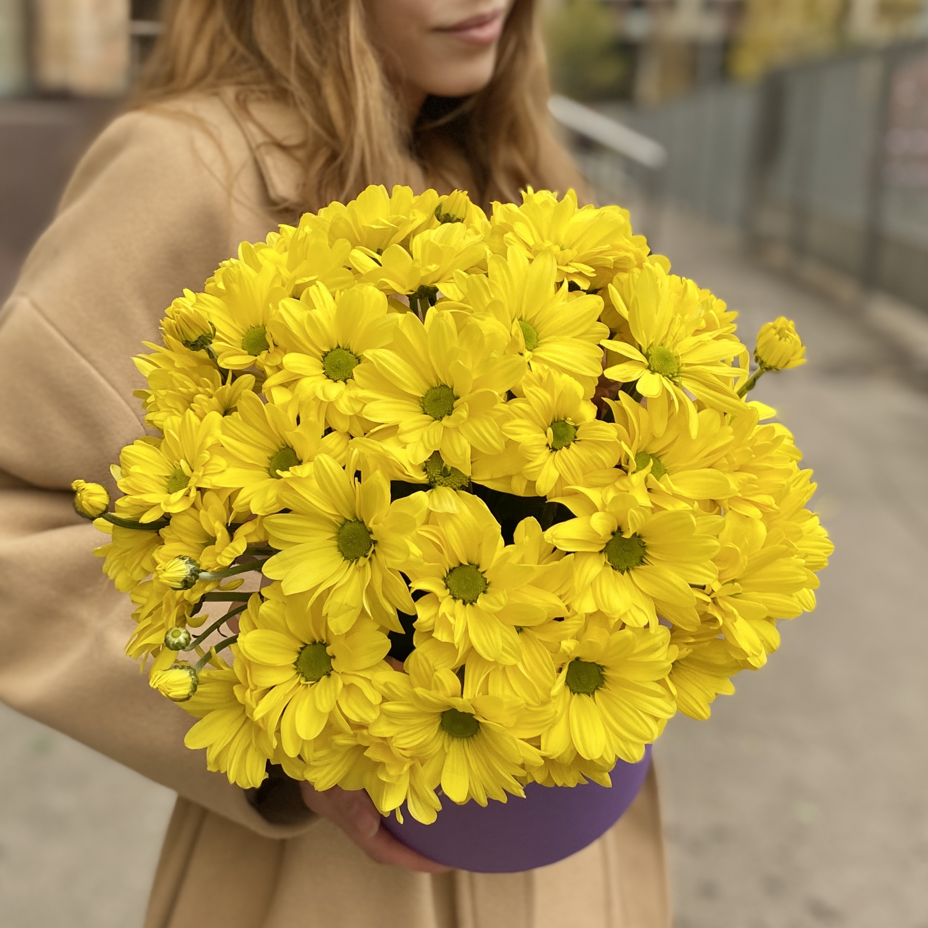 5 желтых хризантем в коробке