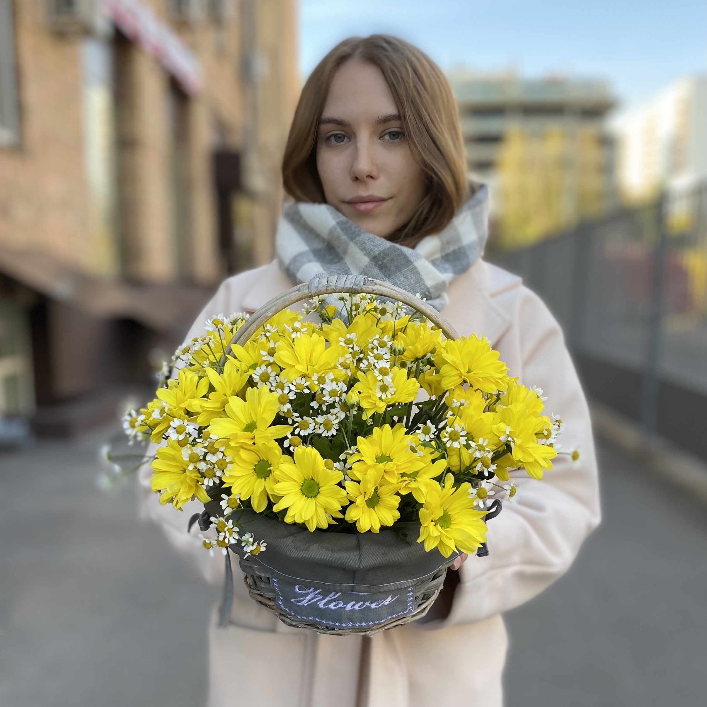 5 желтых кустовых хризантем Бакарди с ромашкой в корзине