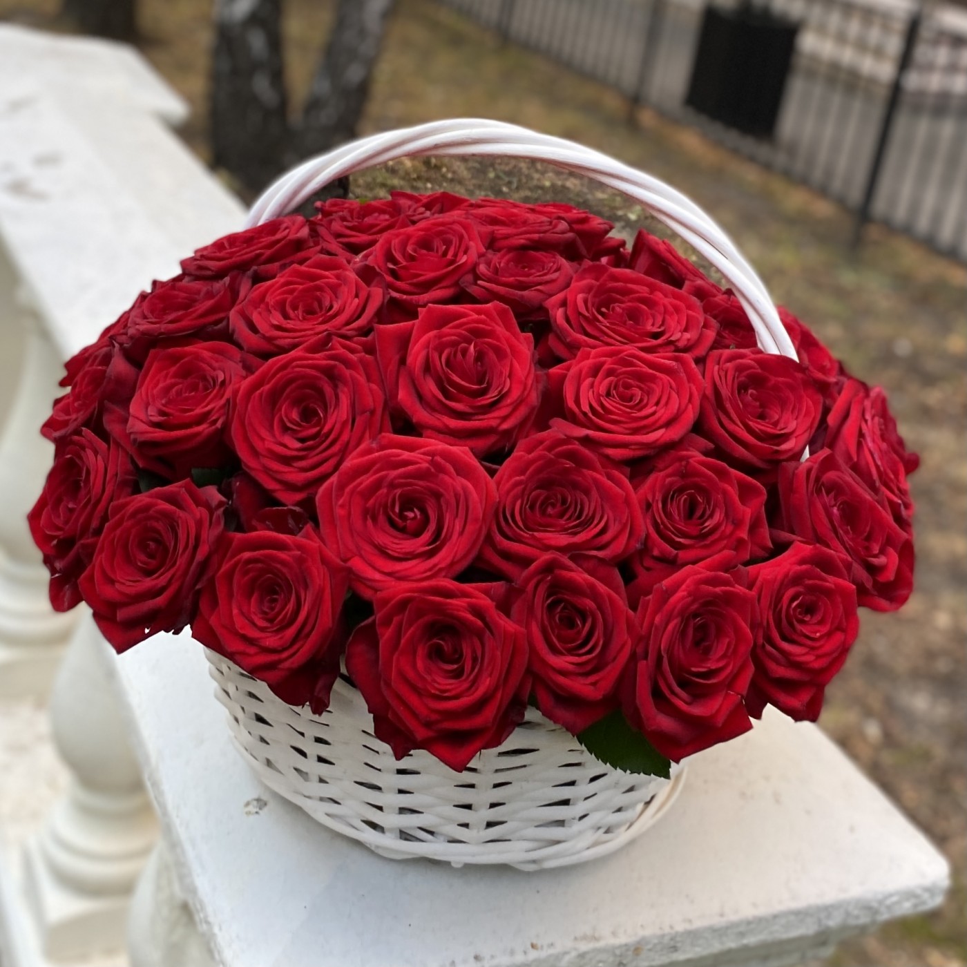 51 ароматная красная роза в корзине