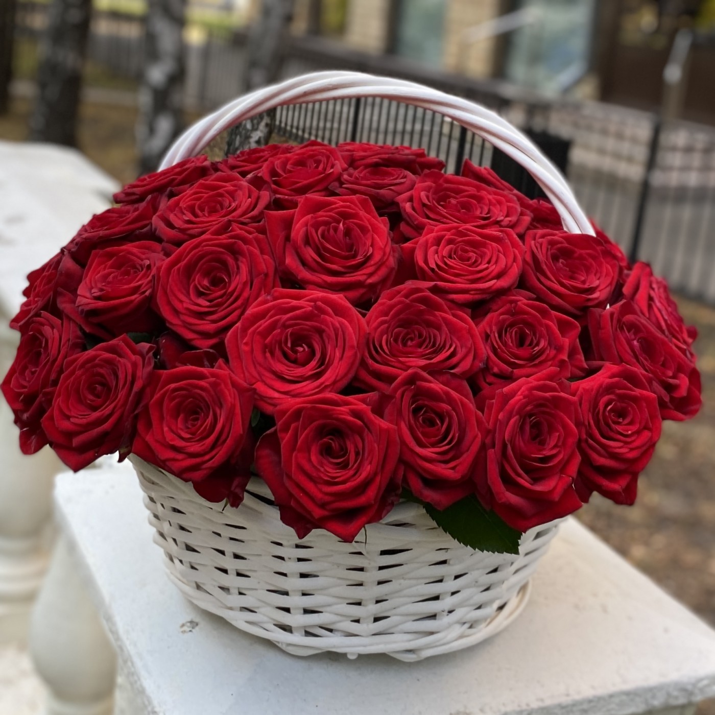 51 ароматная красная роза в корзине