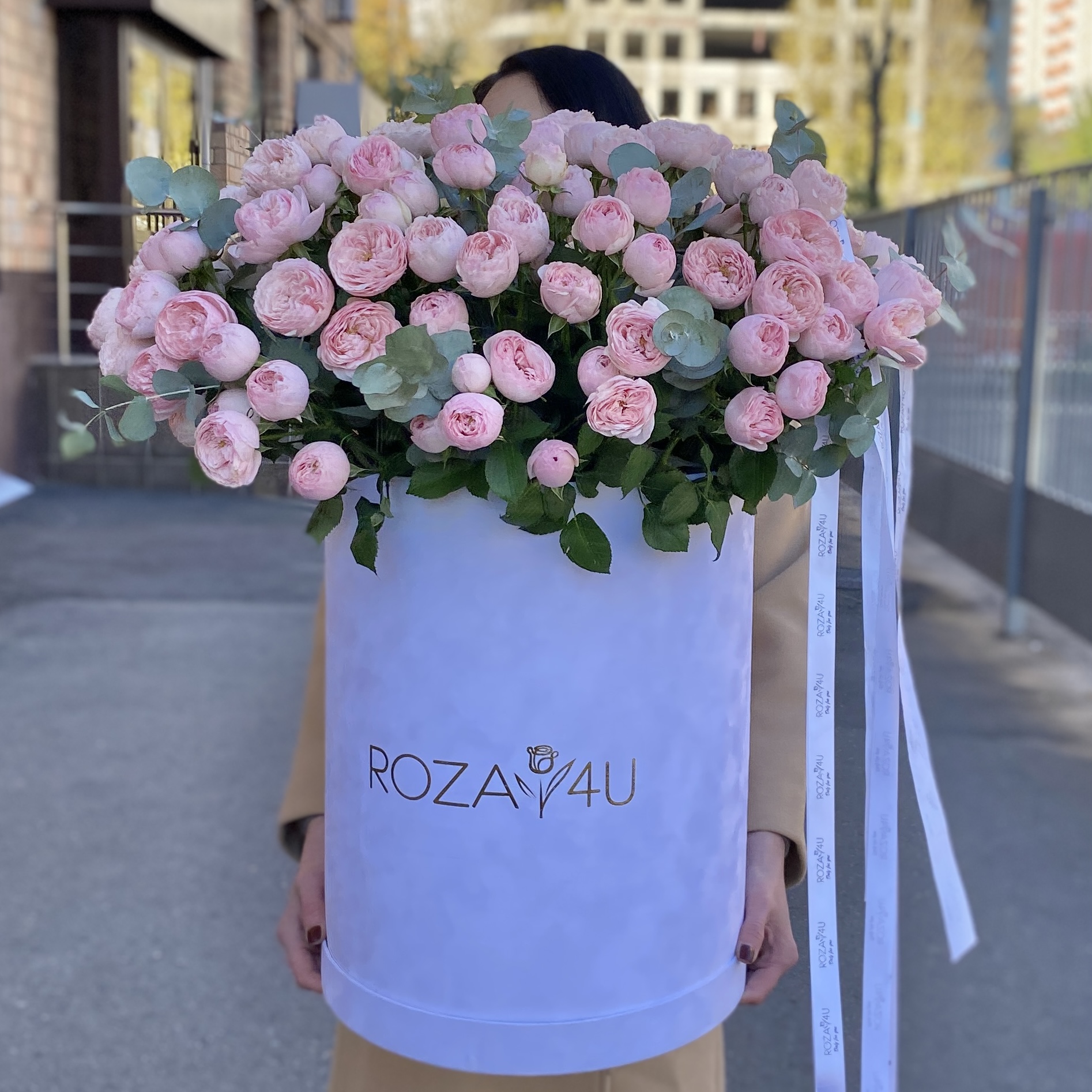 51 кустовая пионовидная роза Мансфилд Парк в бархатной коробке