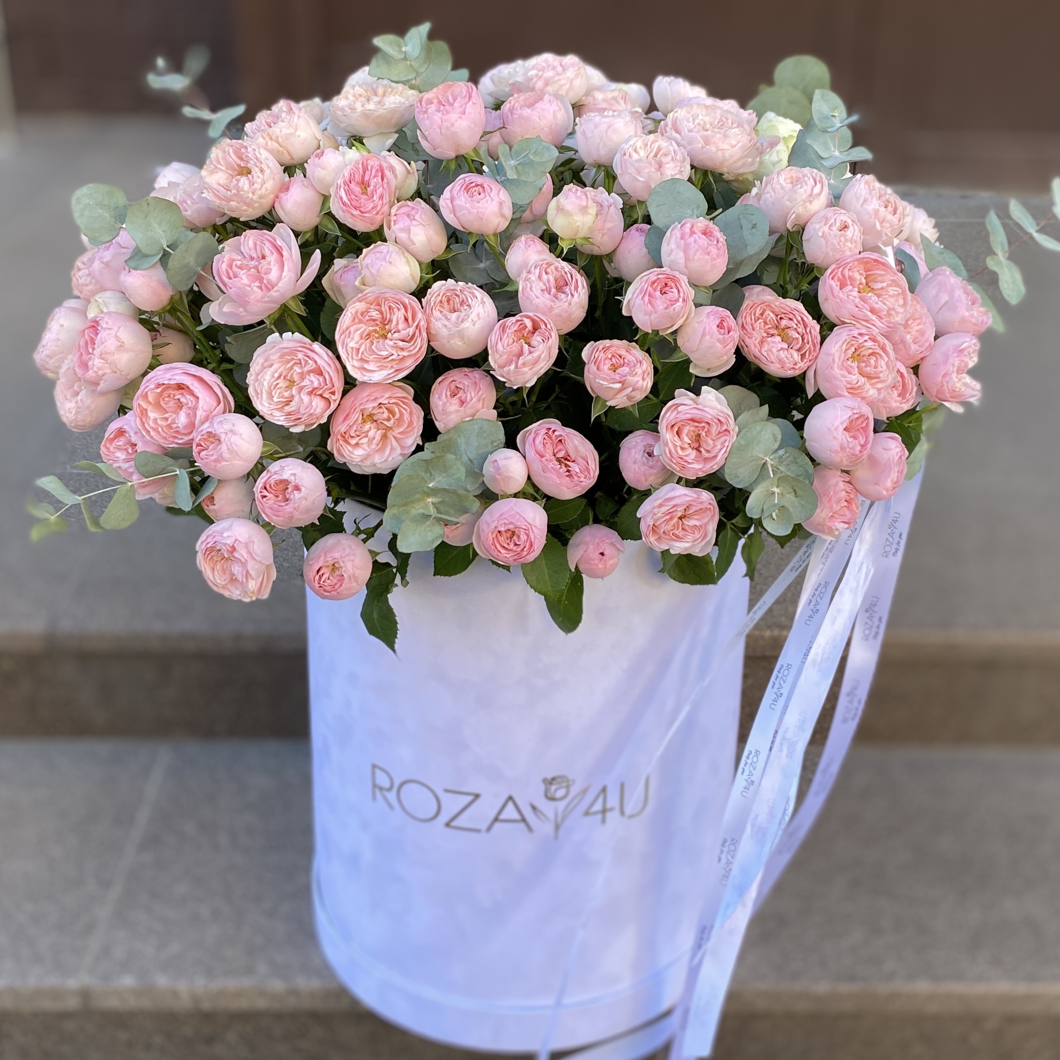 51 кустовая пионовидная роза Мансфилд Парк в бархатной коробке