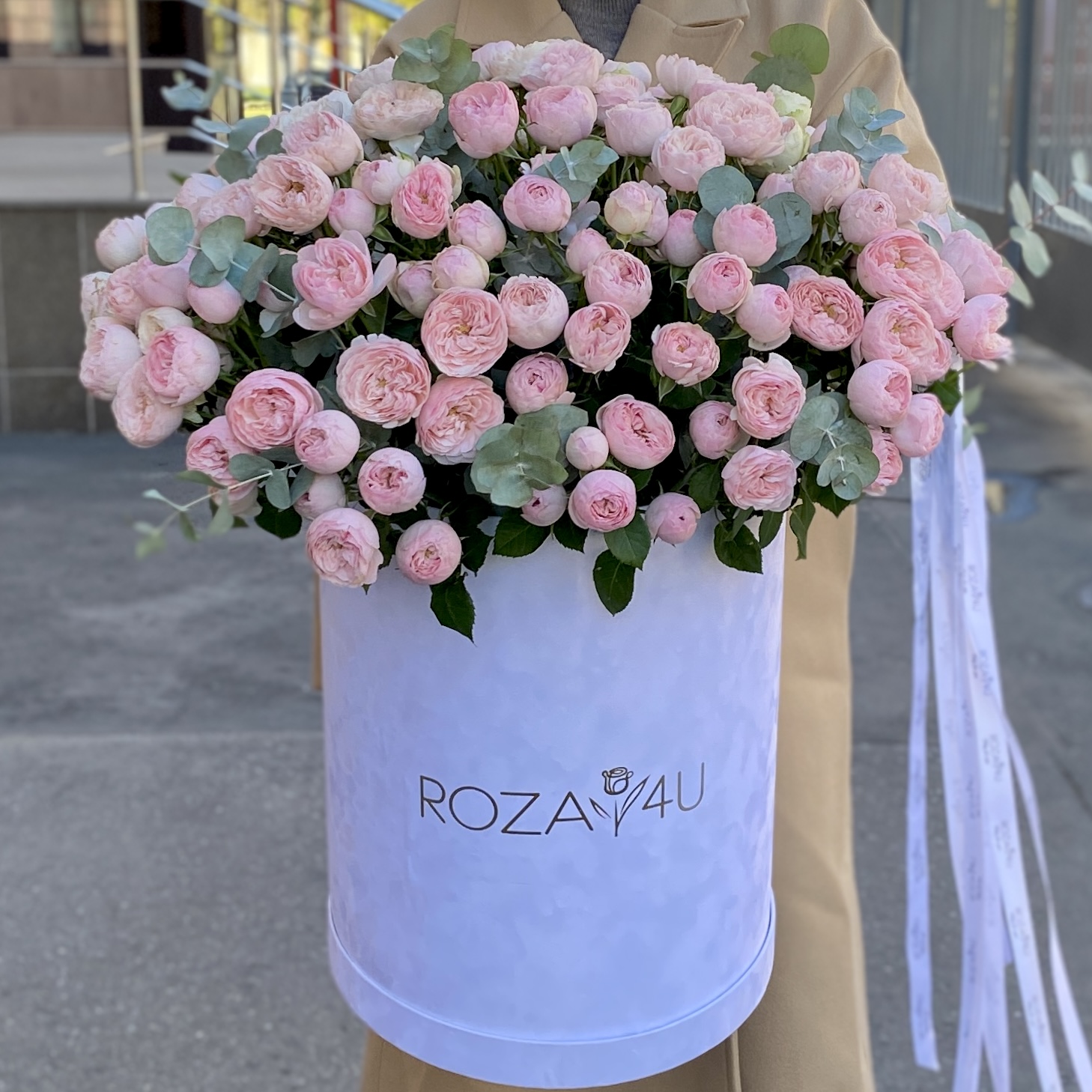 51 кустовая пионовидная роза Мансфилд Парк в бархатной коробке