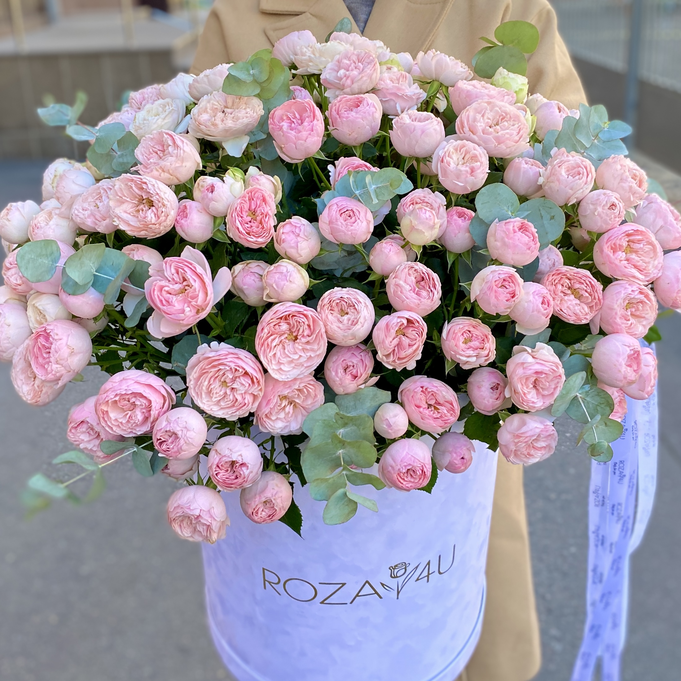 51 кустовая пионовидная роза Мансфилд Парк в бархатной коробке