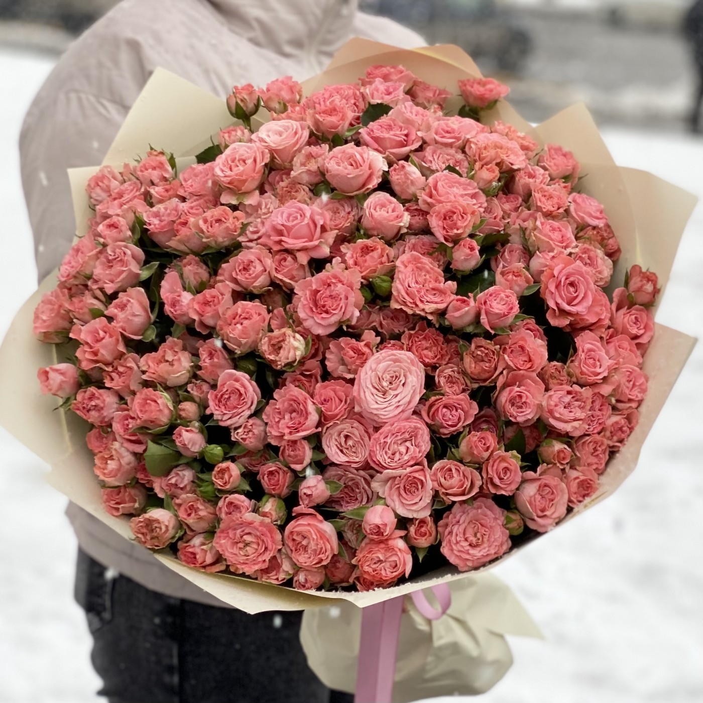 51 кустовая роза Мадам Бомбастик
