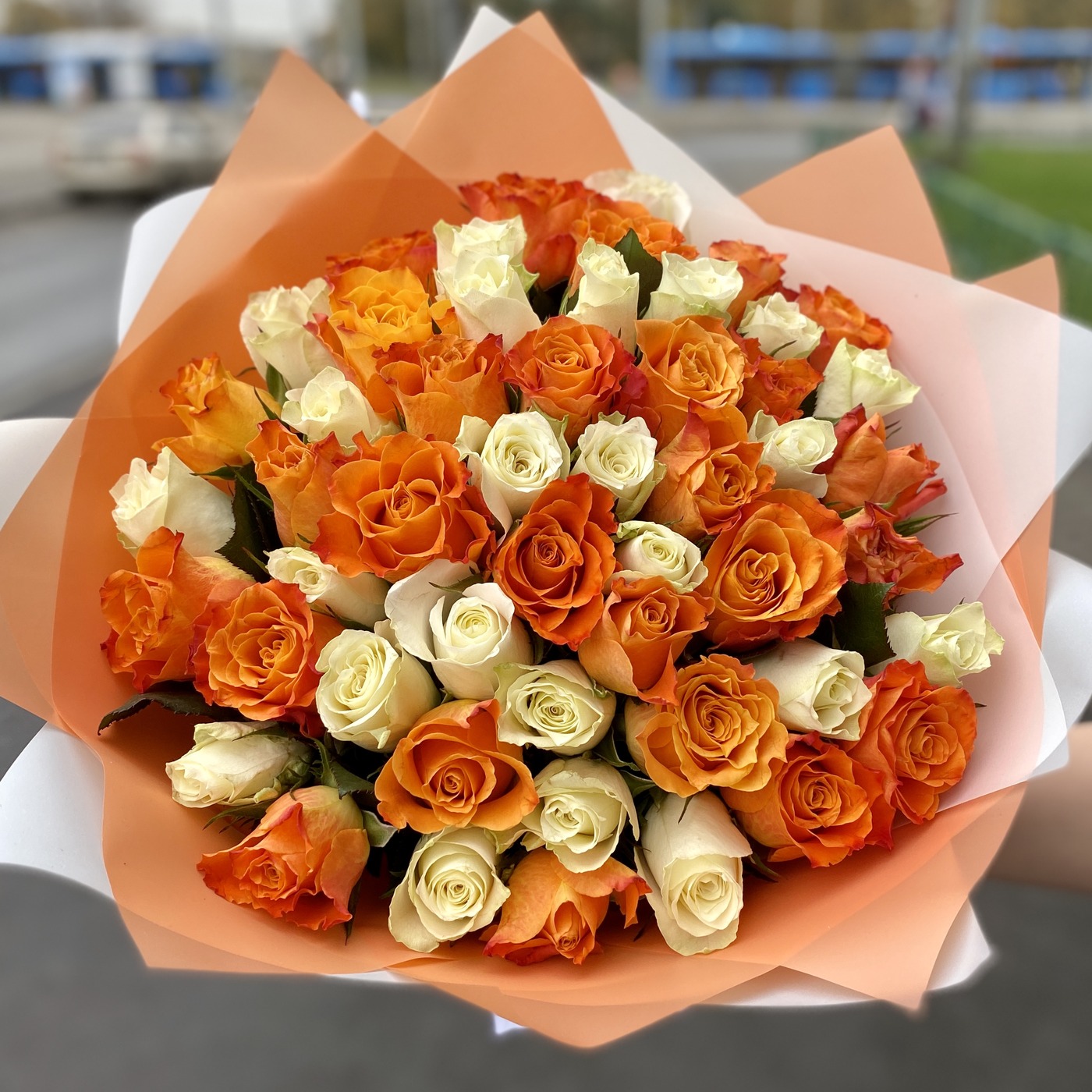 51 роза белого и оранжевого цветов